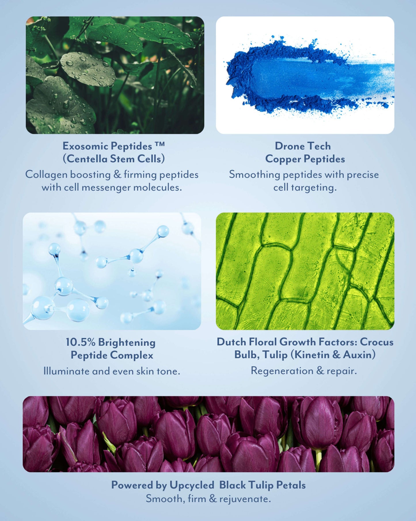 Black Tulip Regenerative Brightening Serum