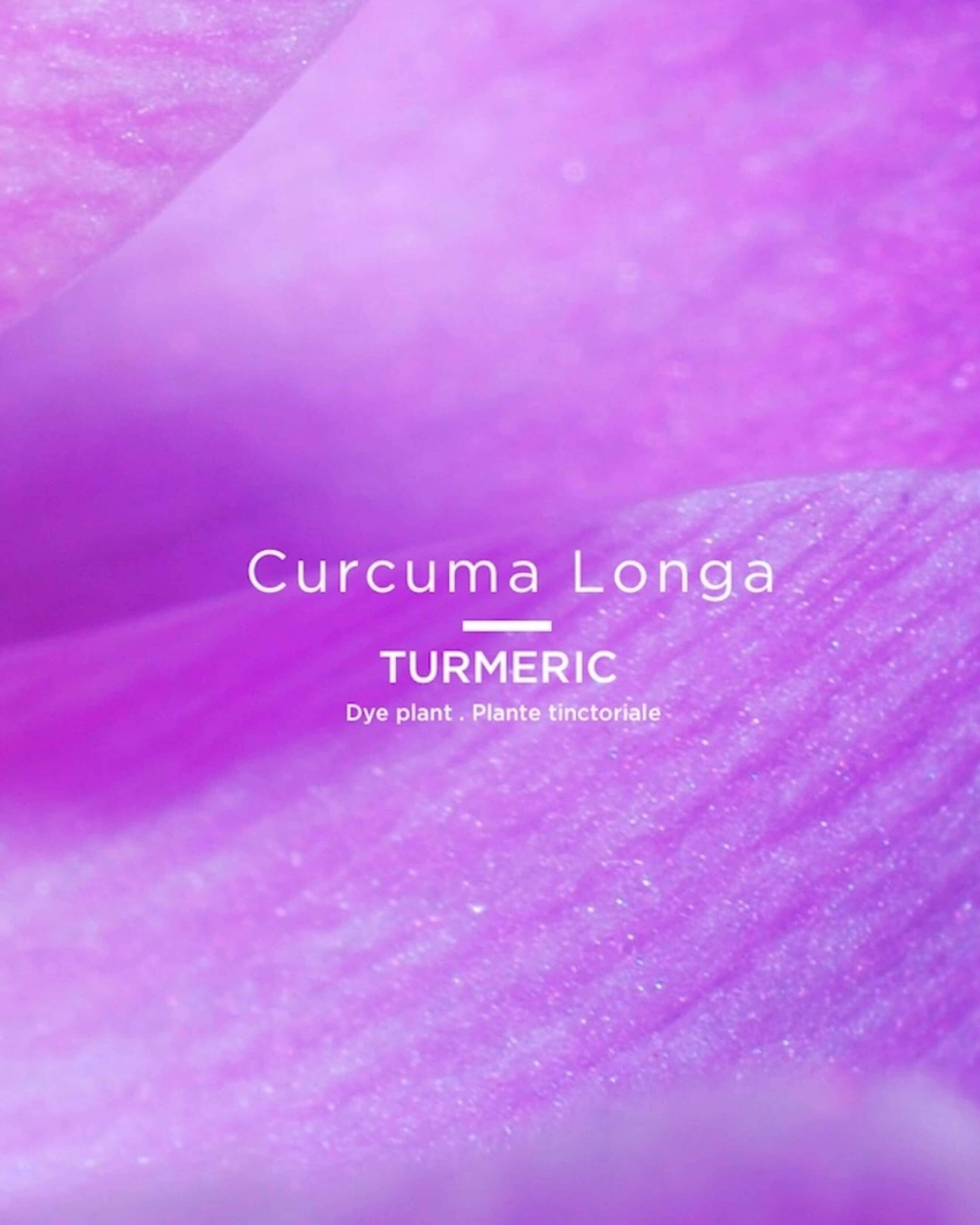 035 Nude Zaatar (nude pink)