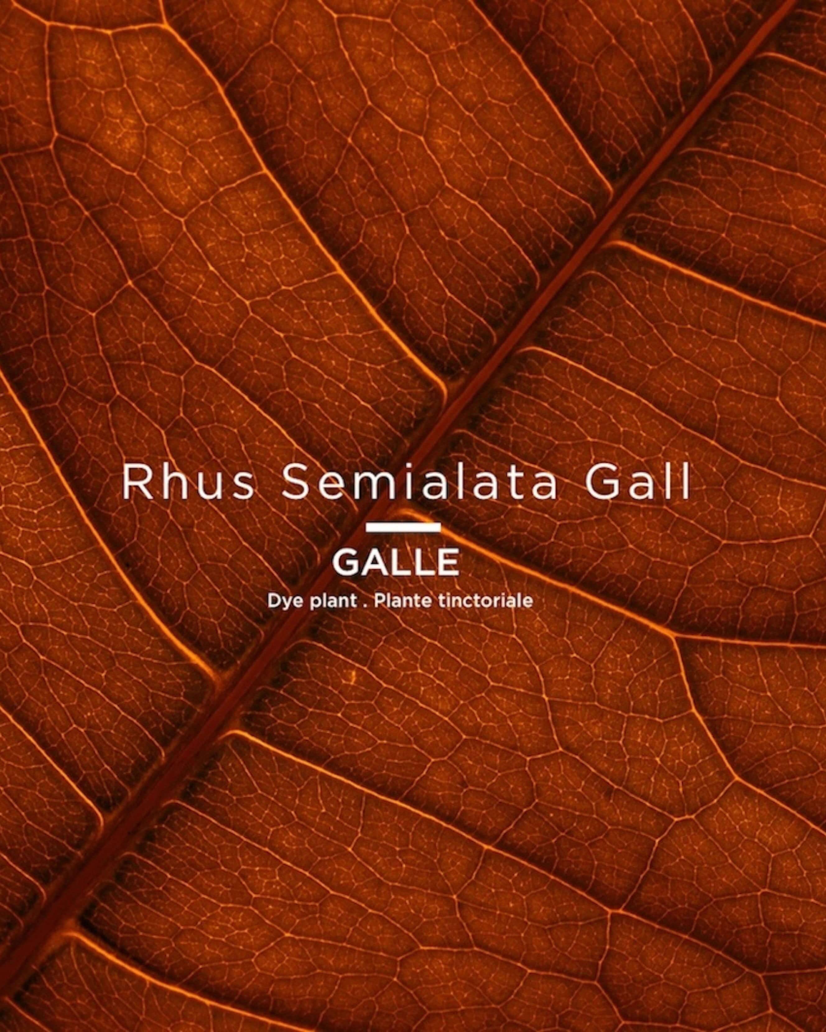 040 Pink Licandre (berry pink)