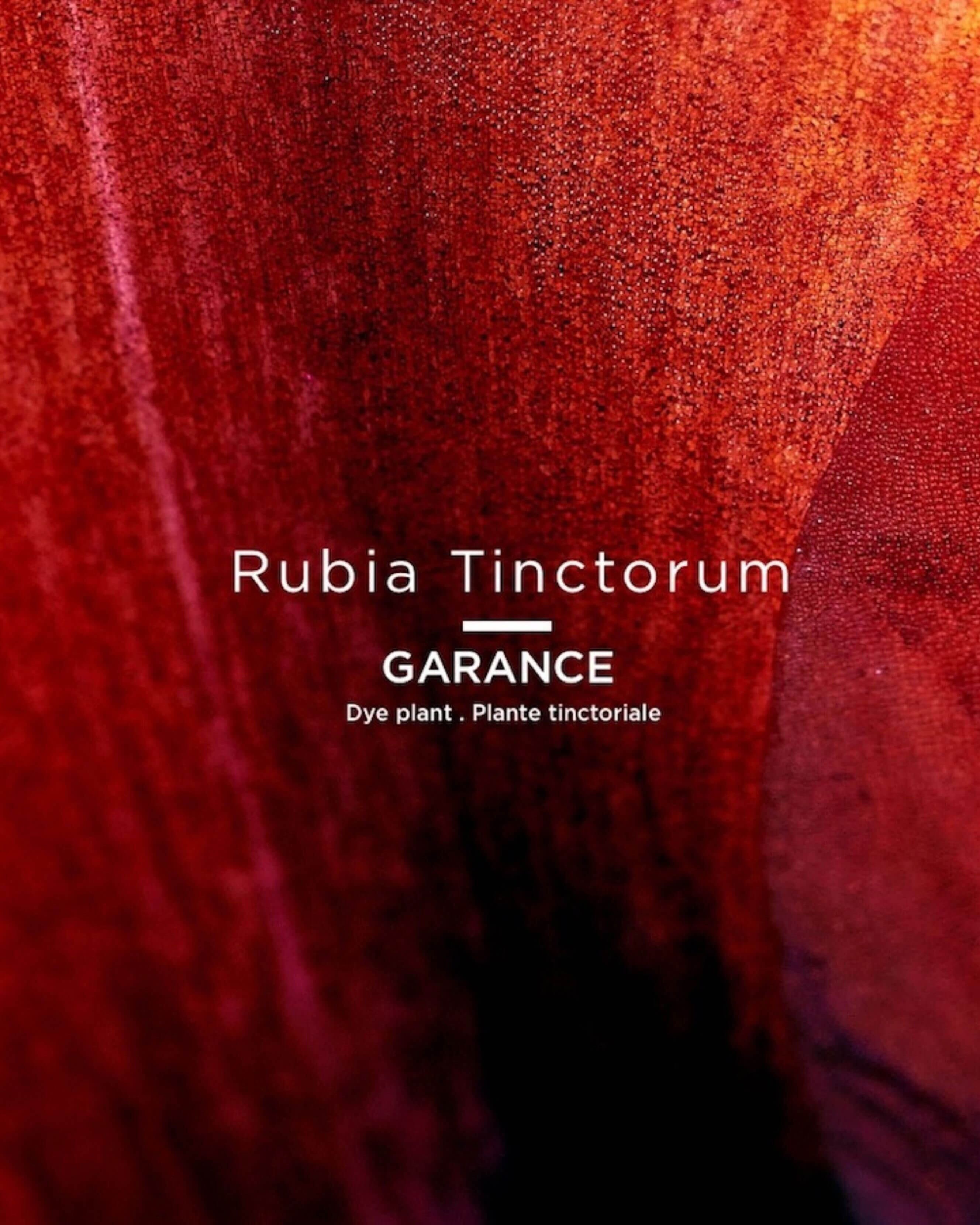 010 Rouge Français (rasperry red)