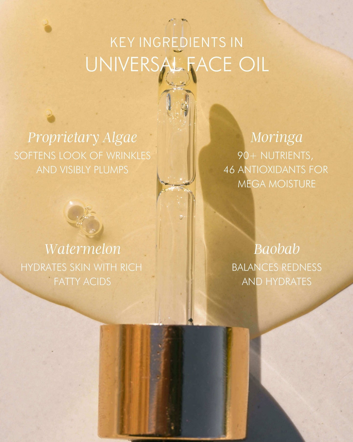 Algae + Moringa Universal Face Oil
