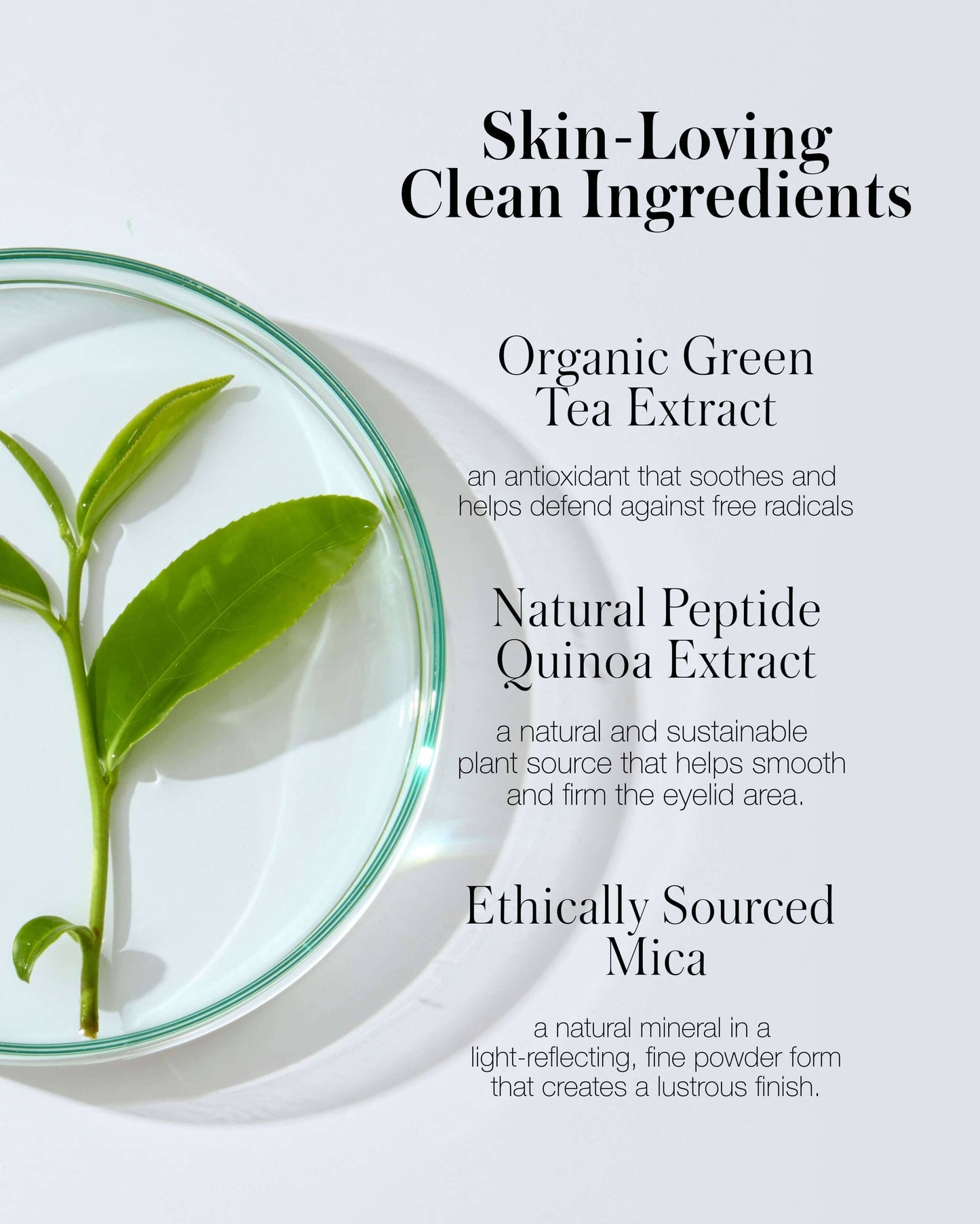 Crystal Slipper (sun-kissed pink-buff with a soft golden glow)