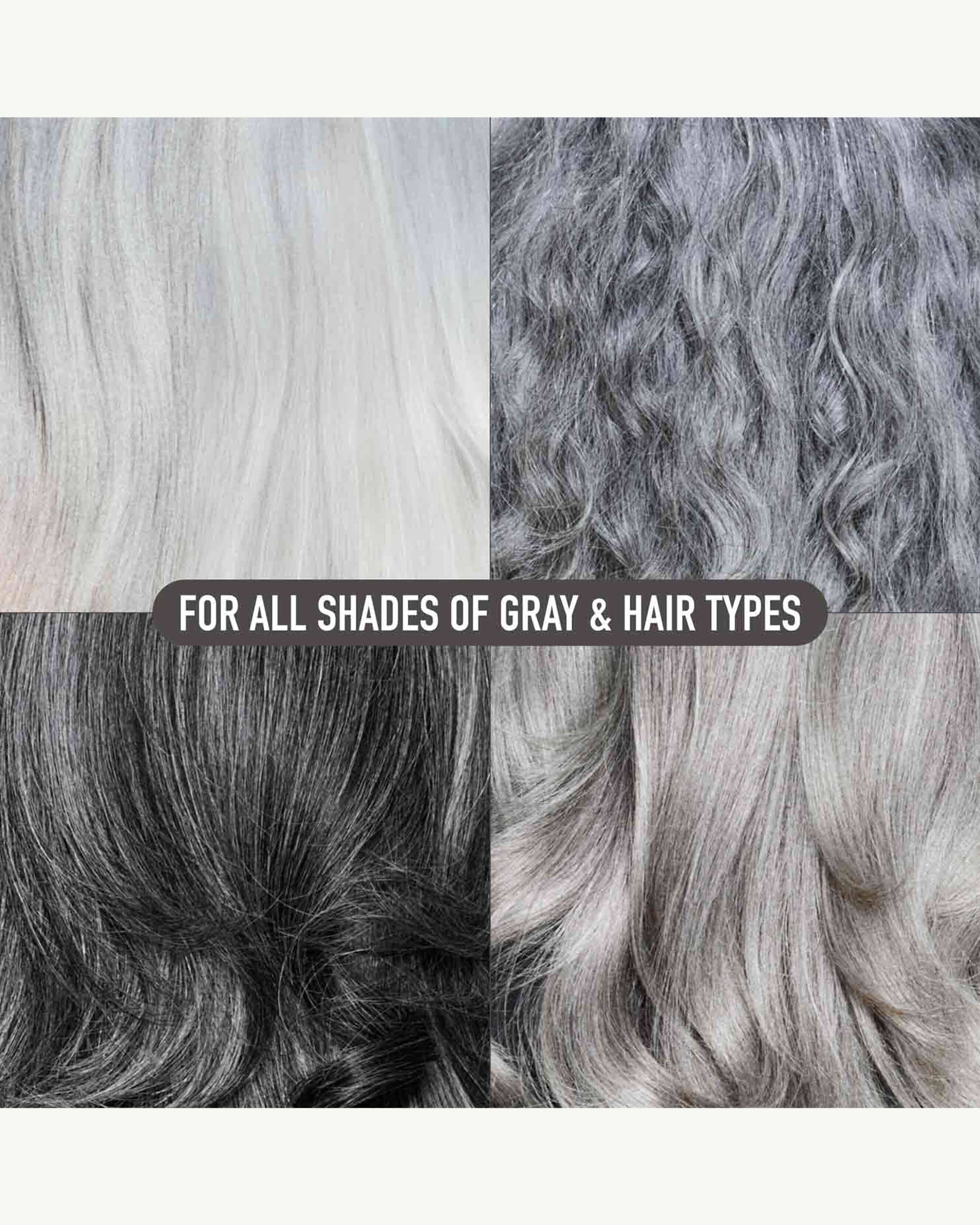 Natural Silver Hair Essentials - Travel Size Kit