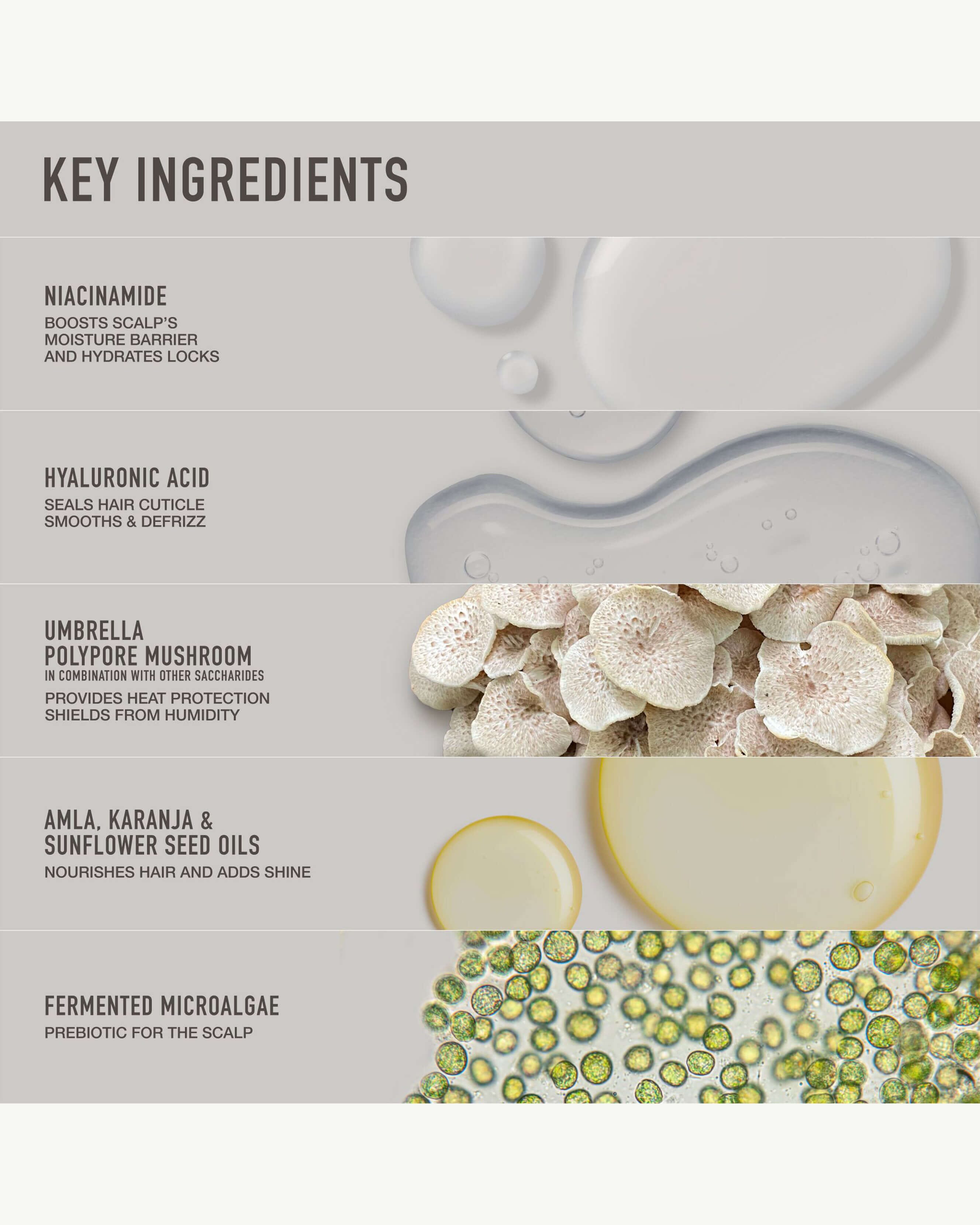 Natural Silver Hair Essentials - Travel Size Kit