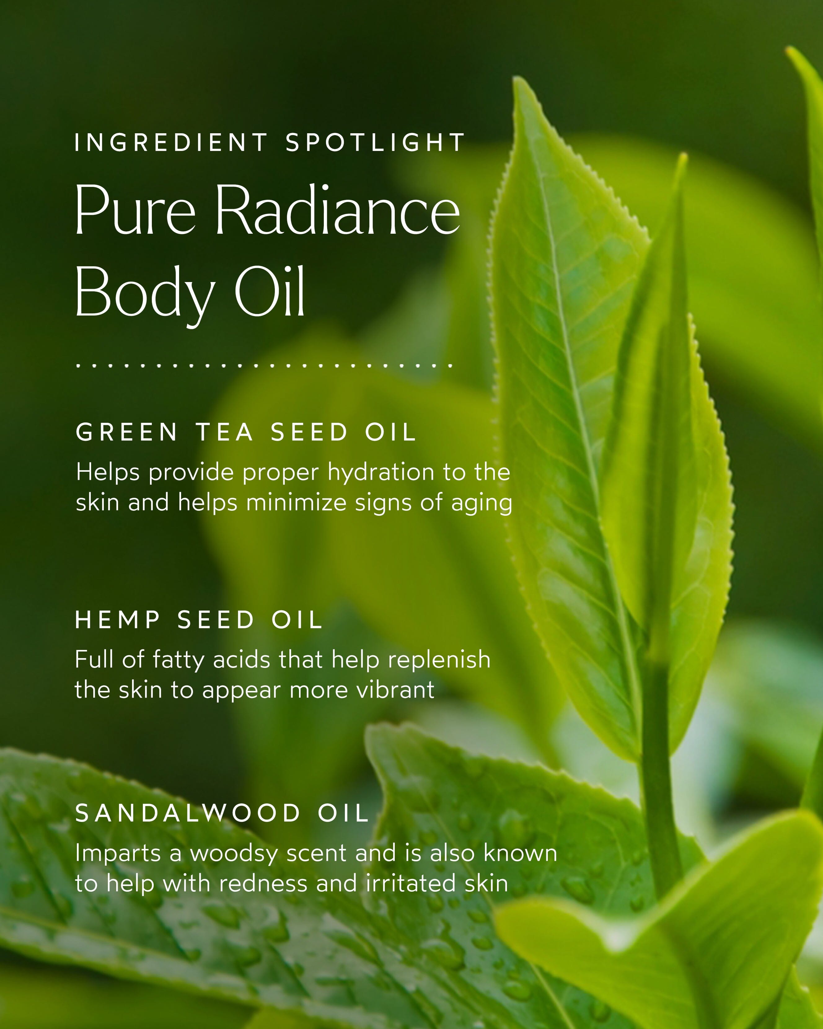 Pure Radiance Body Oil