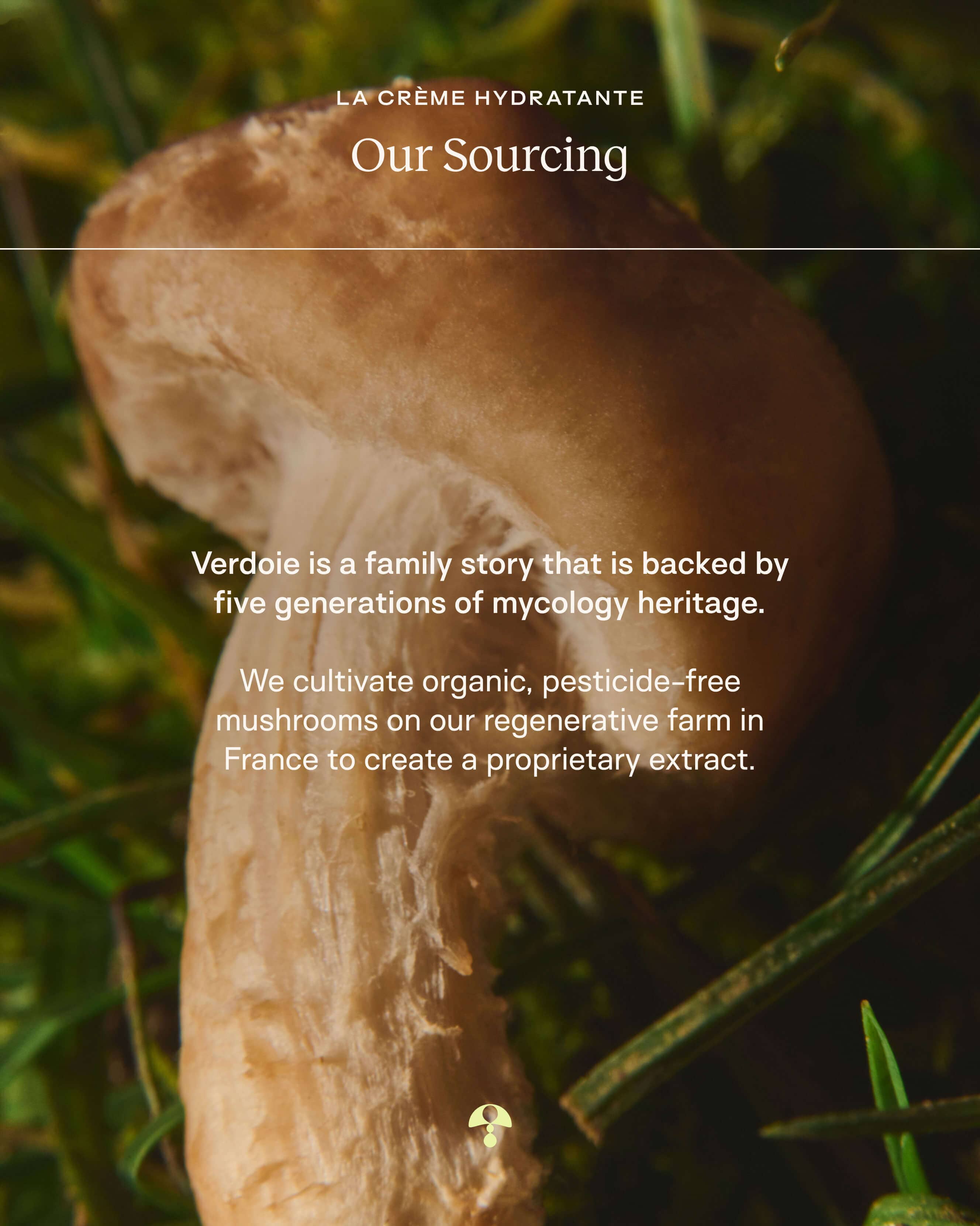 La Crème Hydratante: Beta-Glucan Antioxidant-Rich Mushroom Moisturizer