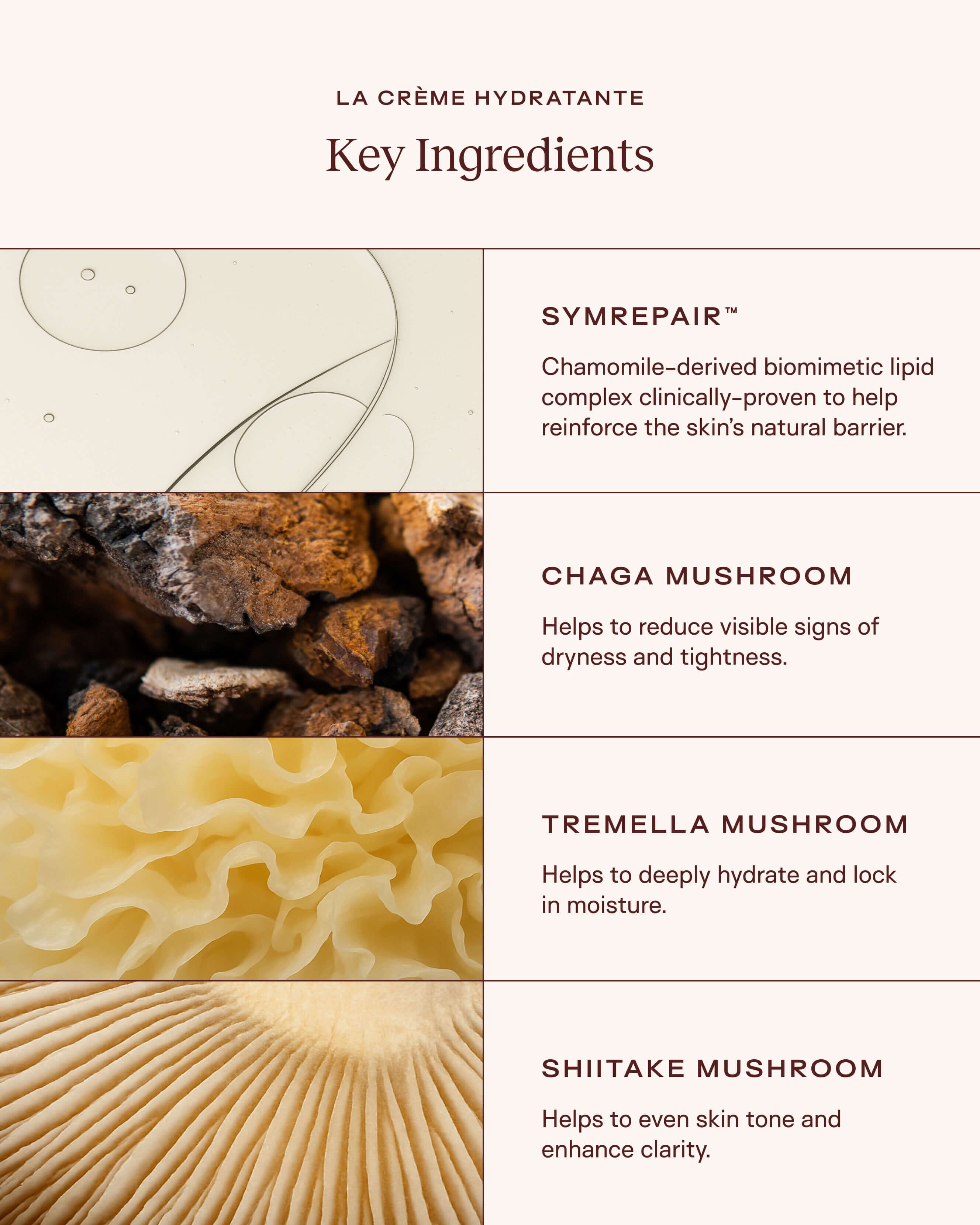 La Crème Hydratante: Beta-Glucan Antioxidant-Rich Mushroom Moisturizer