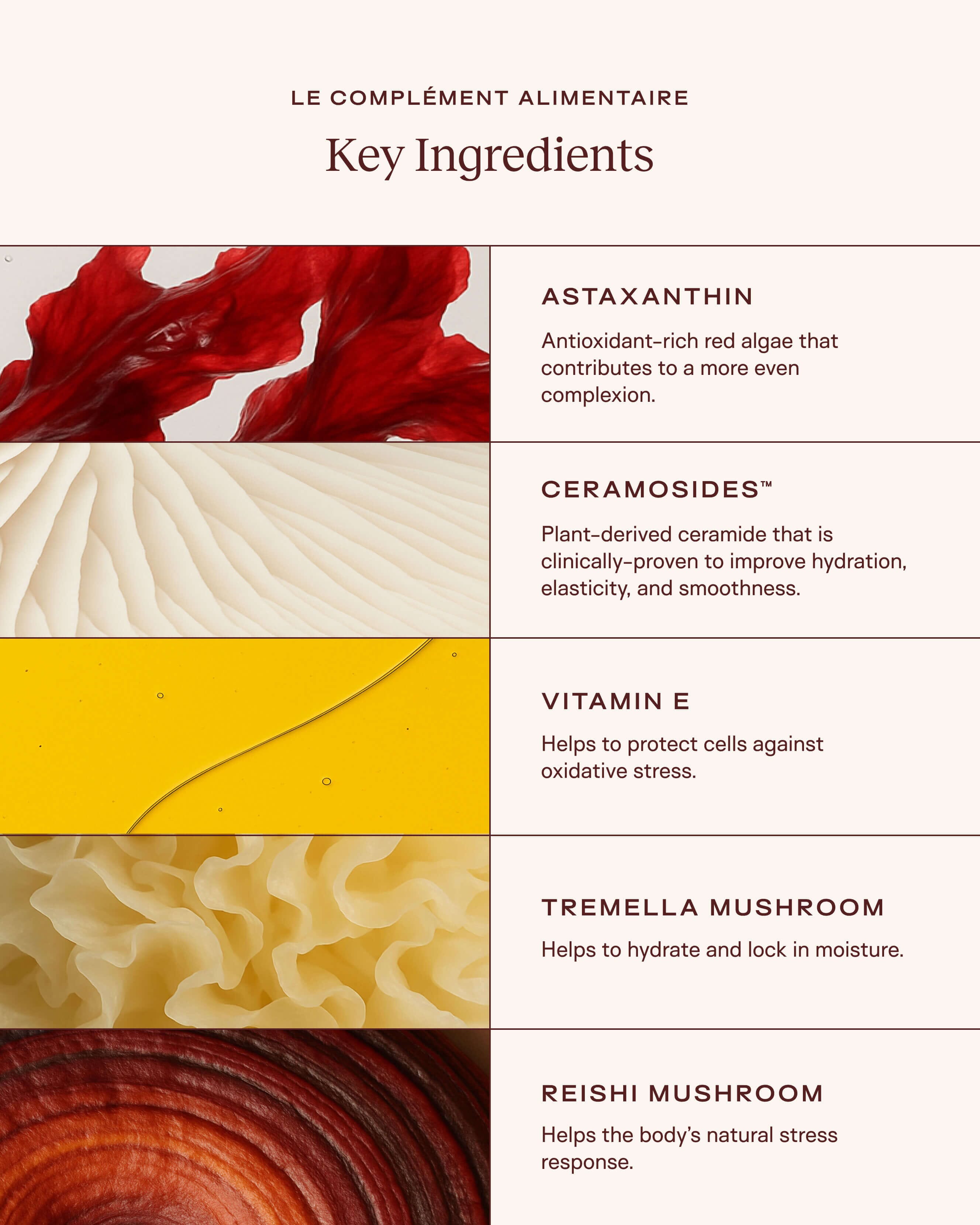 Le Complément Alimentaire: Plumping Hydration Support with Antioxidants