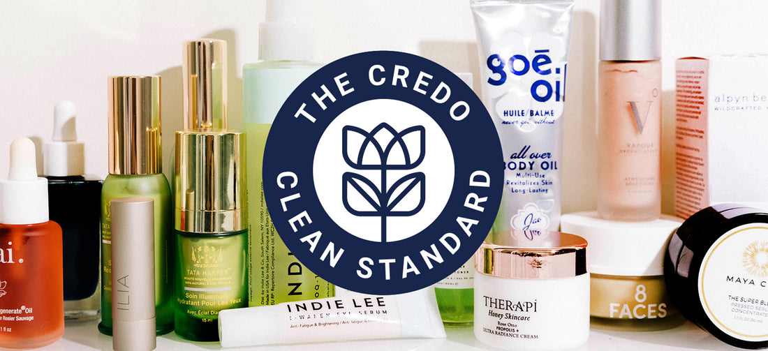 An Introduction to The Credo Clean Standard