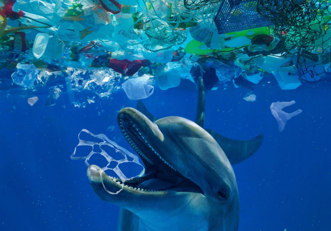 A Planet Drowning in Plastic—Time for Change.