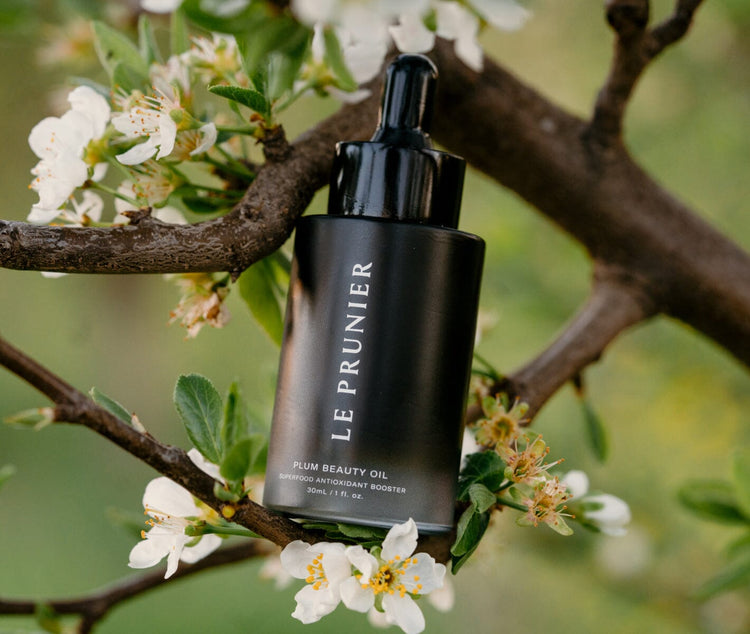 Le Prunier products at Credo