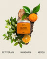 The Foaming Body Scrub SC.01 Orange Grove