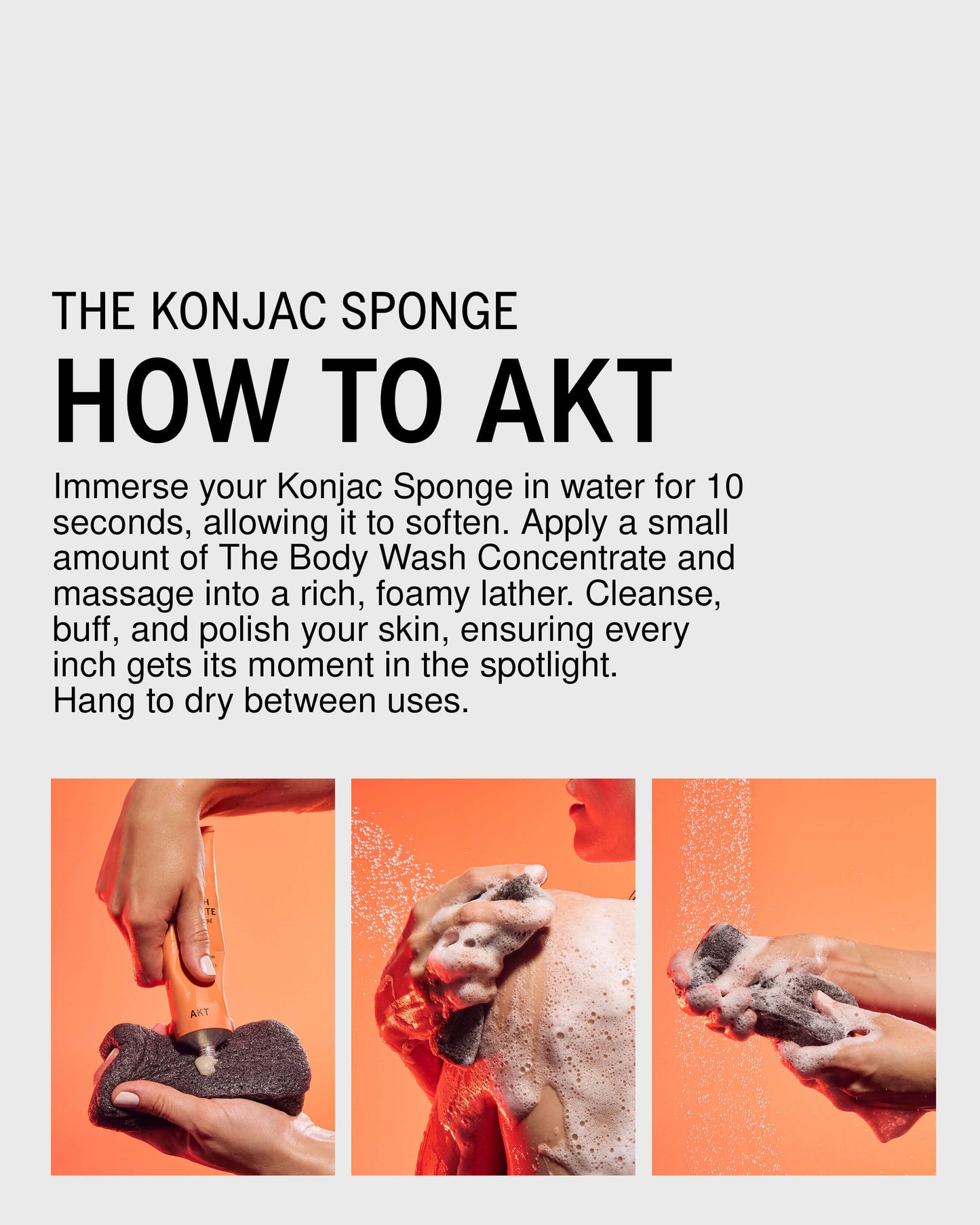 The Konjac Sponge