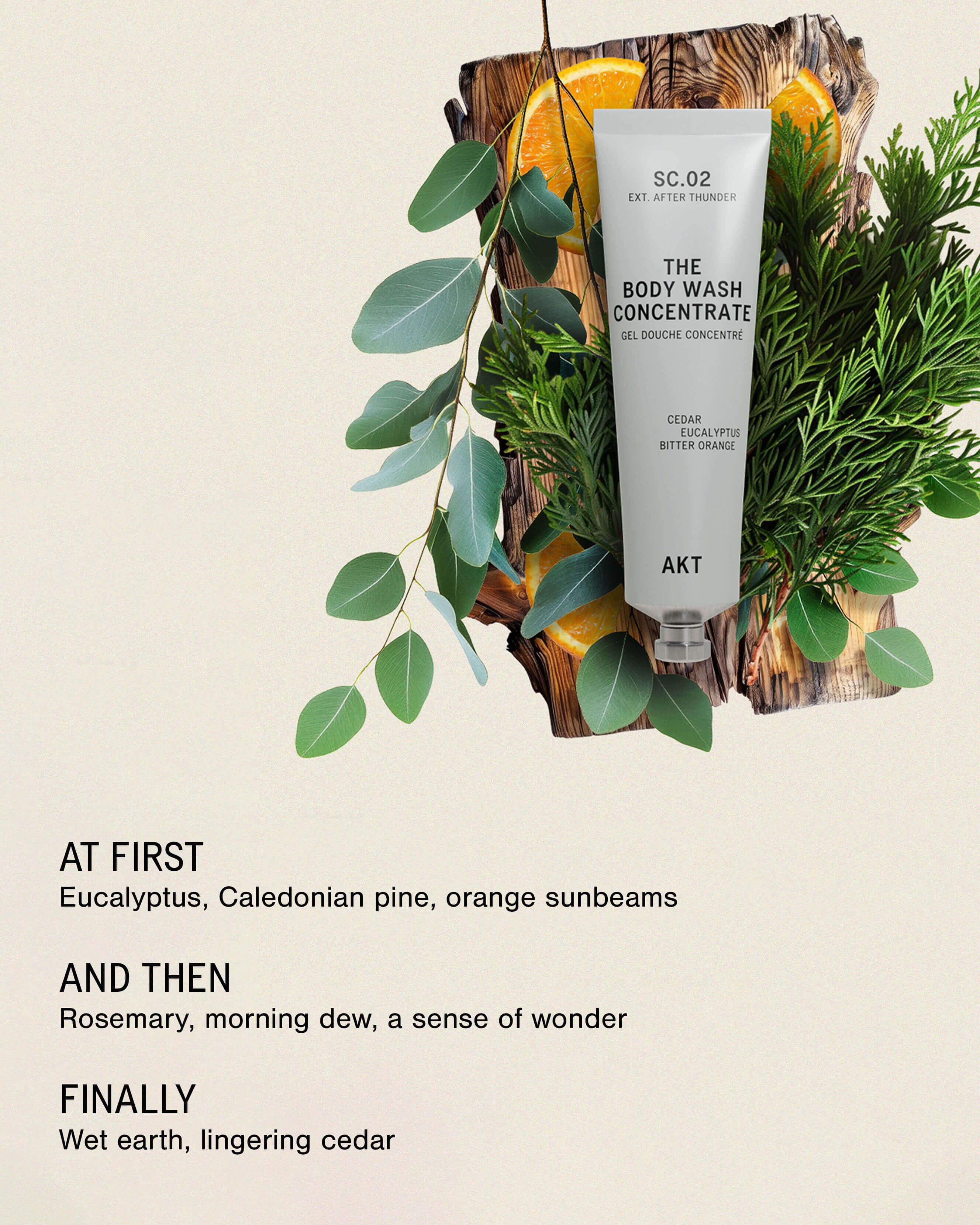 The Body Wash Concentrate SC.02 After Thunder