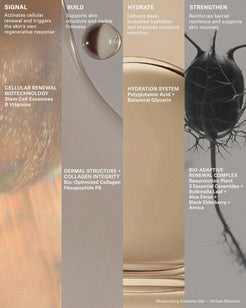Moisturizing Exosome Advanced Regenerative Gel Moisturizer