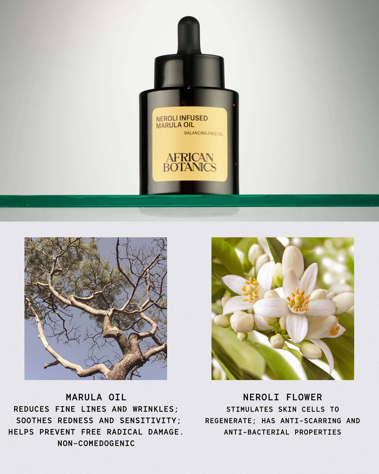 African Botanics Neroli Infused Marula Oil