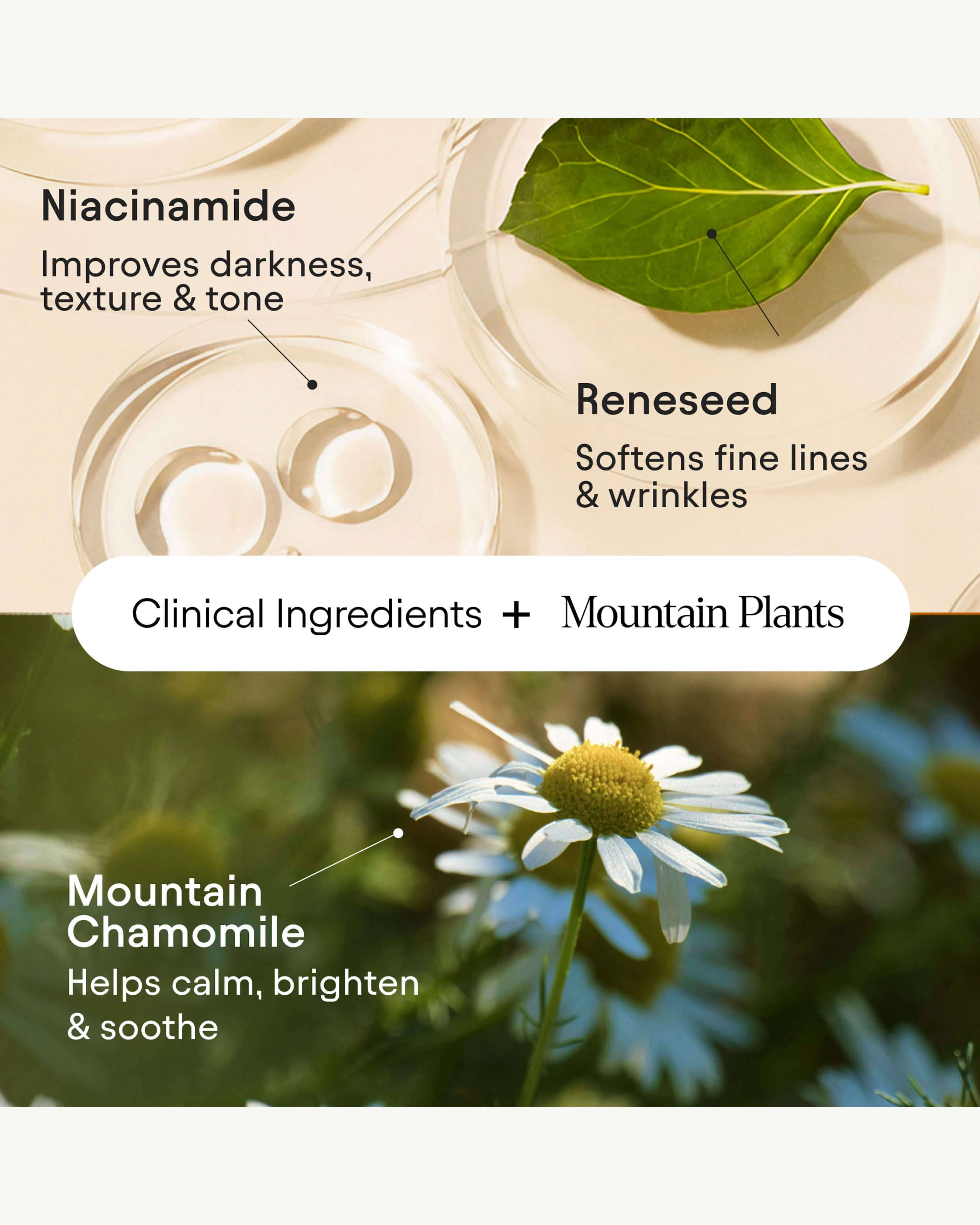 Instant Bright Eye with Peptides & Niacinamide