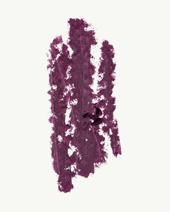 Morado.02