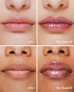 VANTA.02 (sheer black veil)