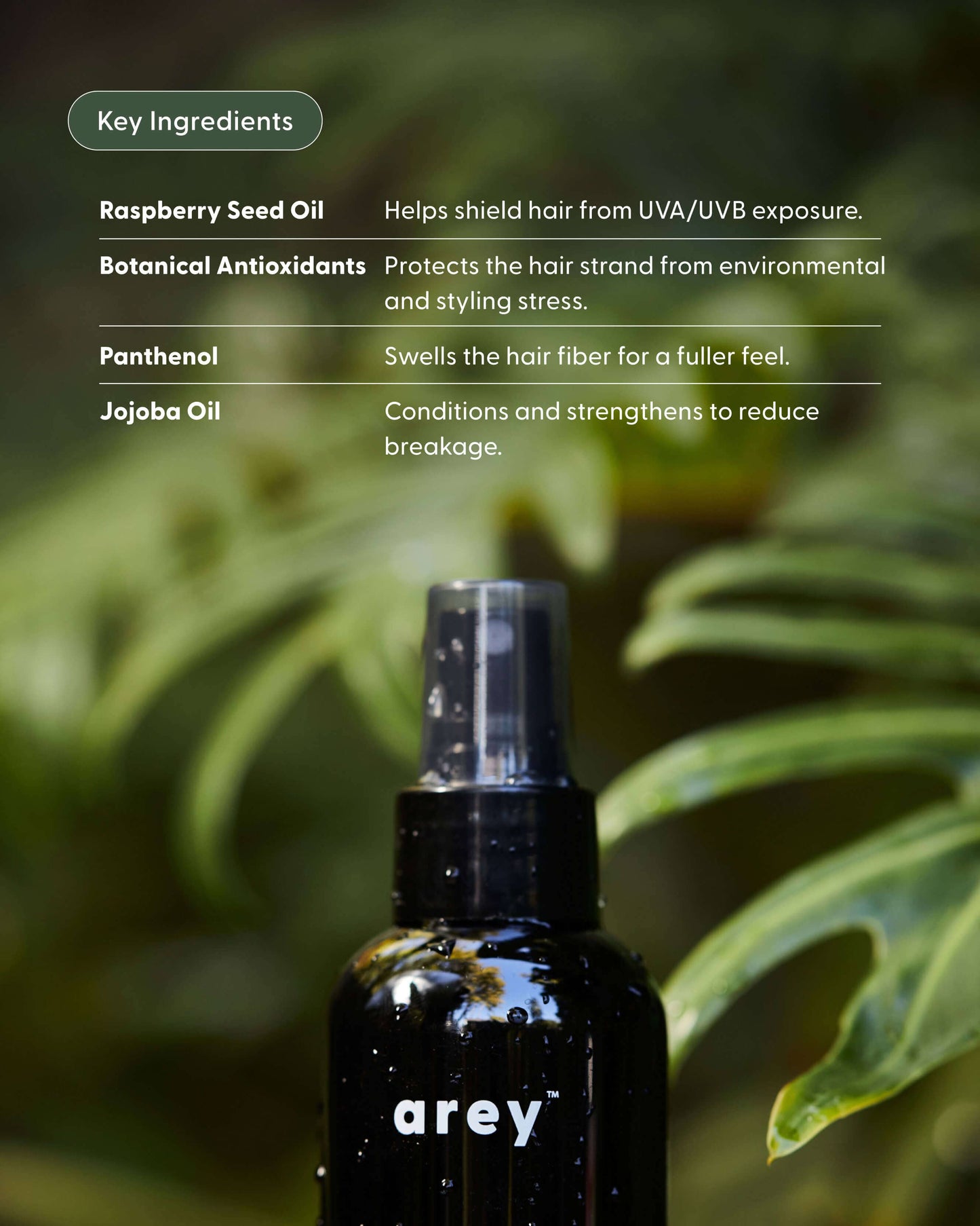 Live In Mist Leave-In Conditioner