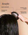 The Scalp Brush