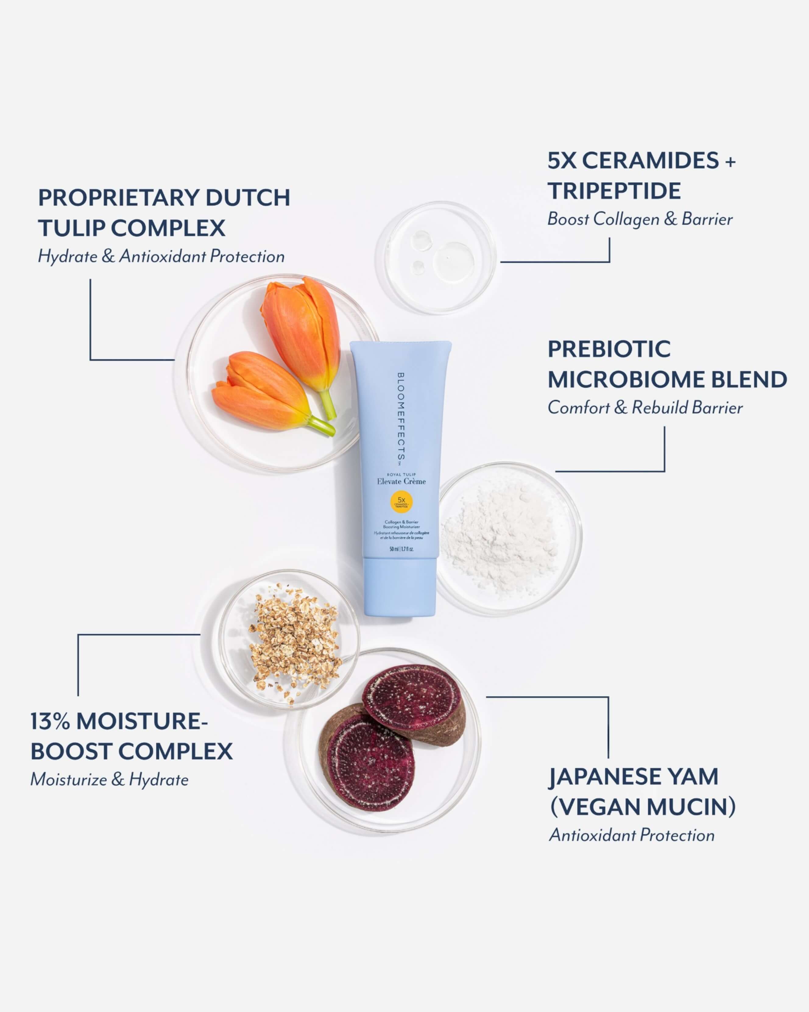 Royal Tulip Elevate Crème
