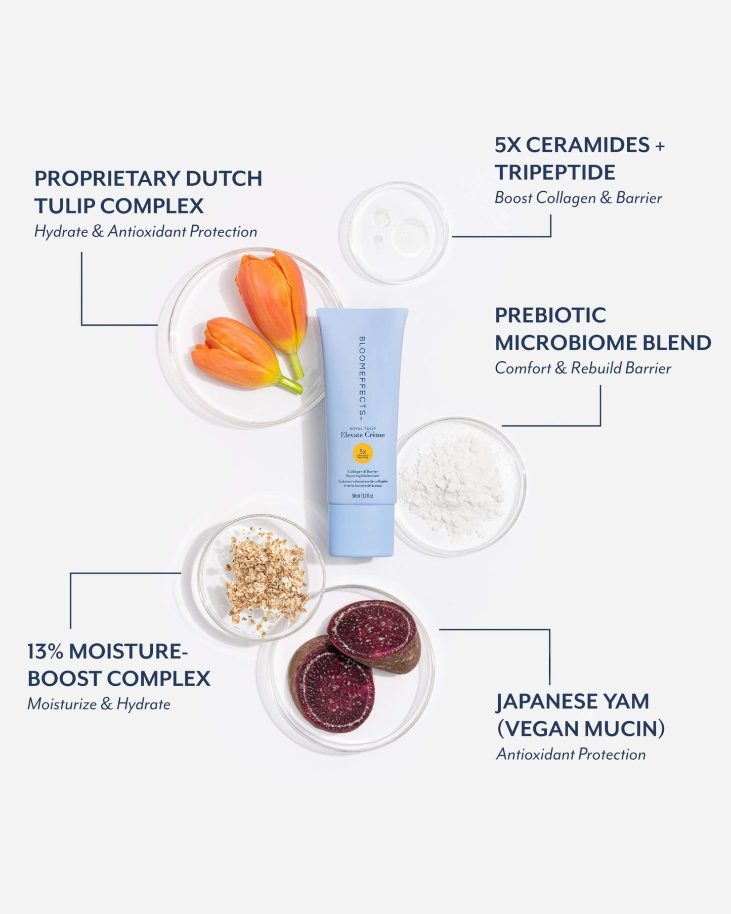 Royal Tulip Elevate Crème