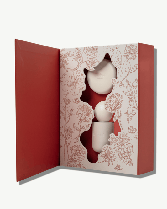 Bonjout Collector's Edition