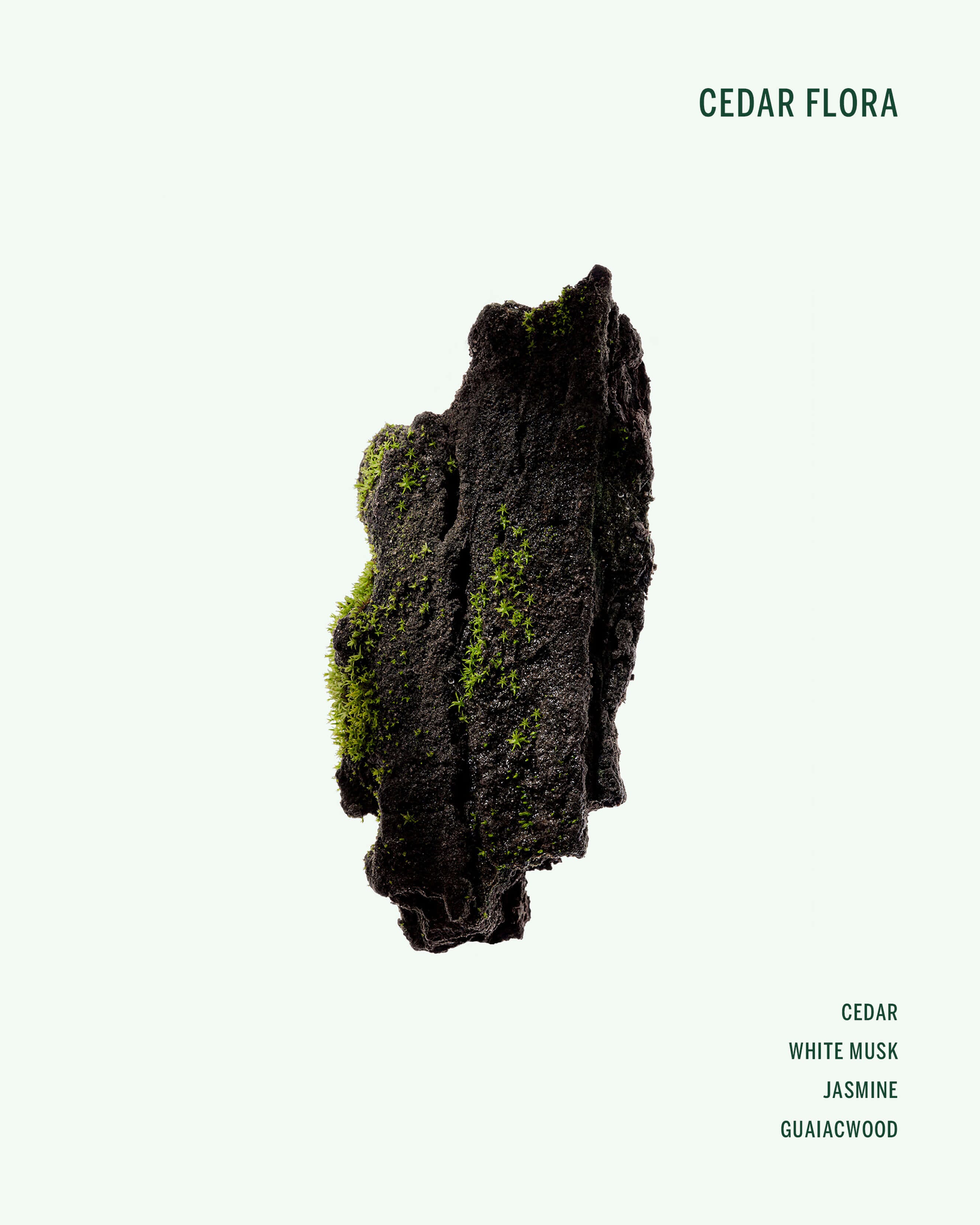 Cedar Flora Deodorant