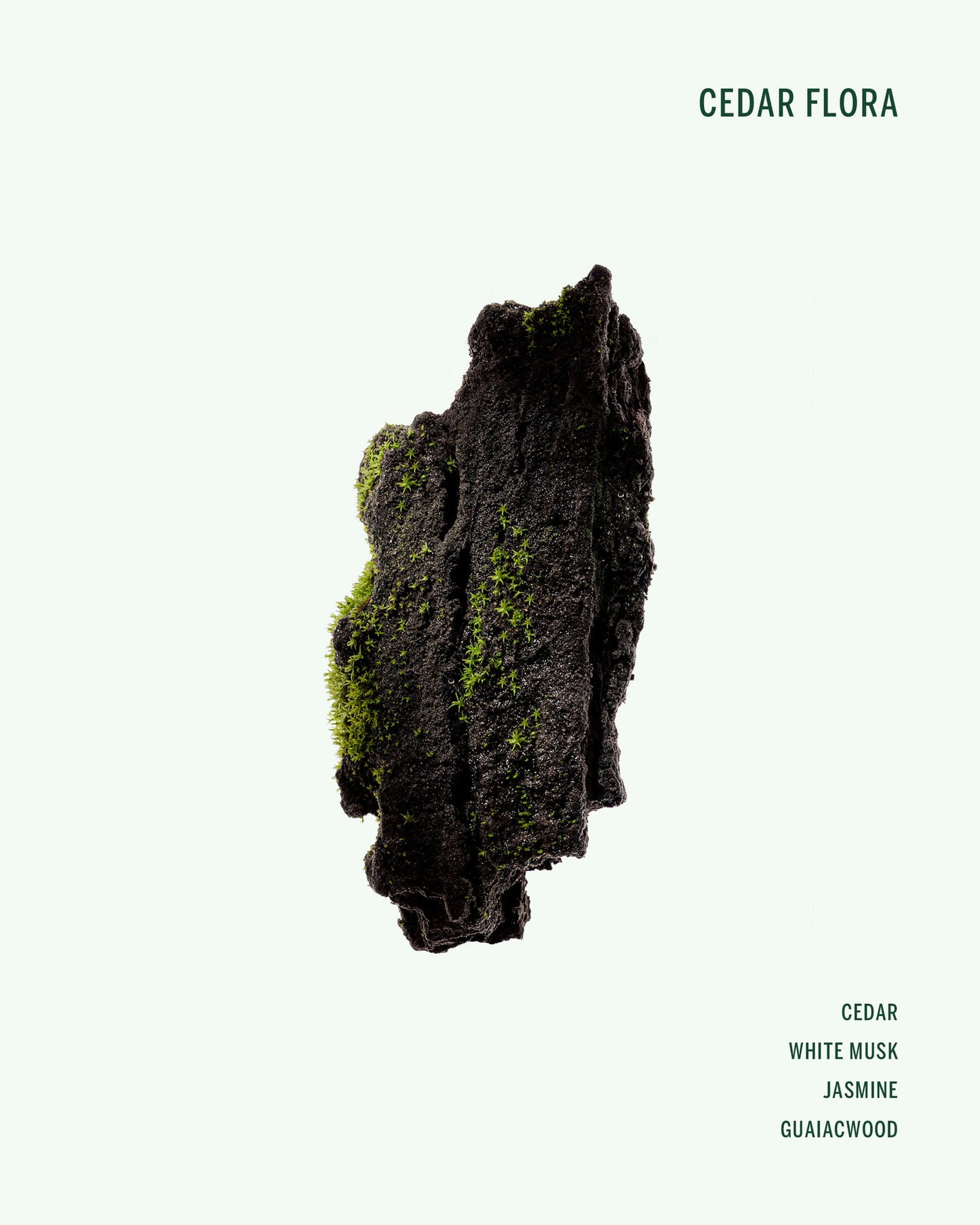 Cedar Flora Deodorant