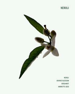 Neroli Deodorant