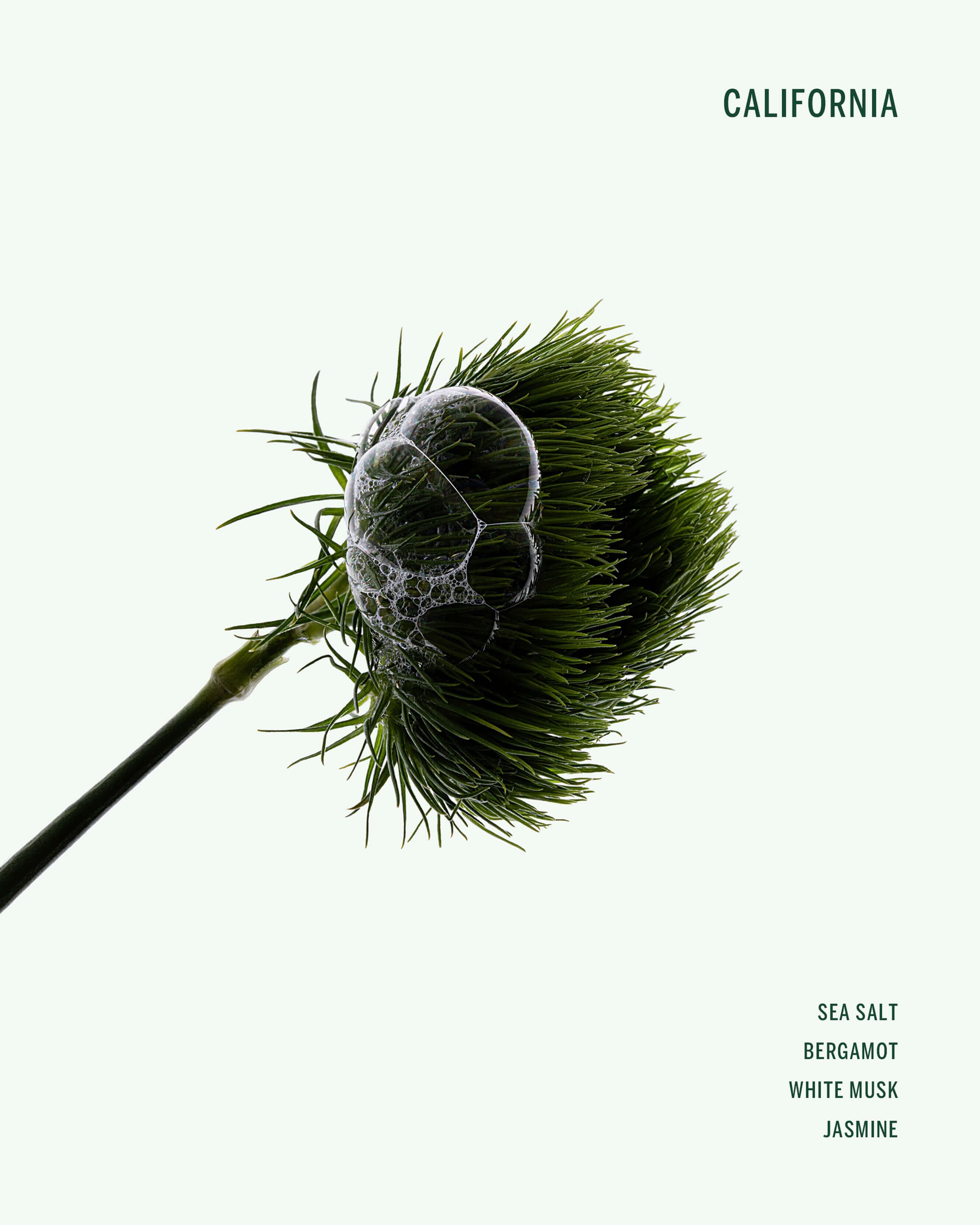 California Deodorant