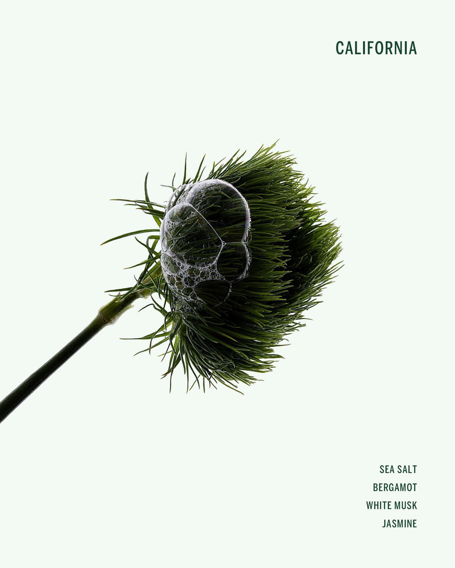 California Deodorant