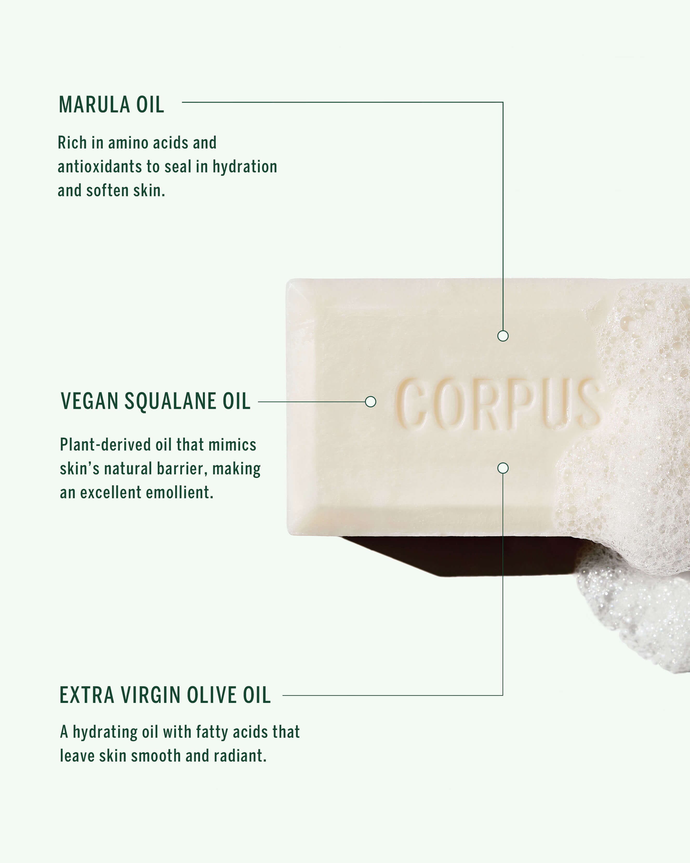 Cleansing Bar