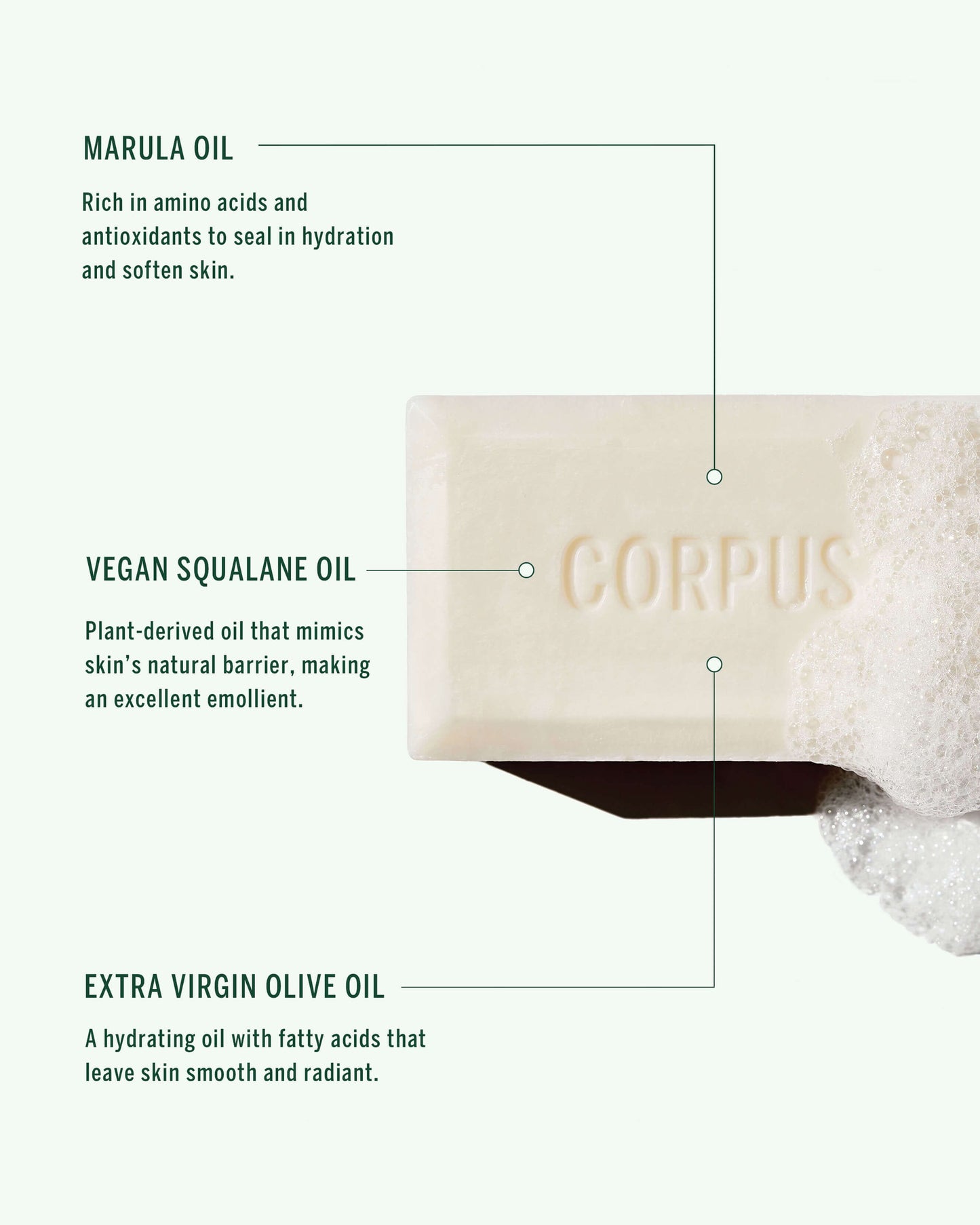 Cleansing Bar
