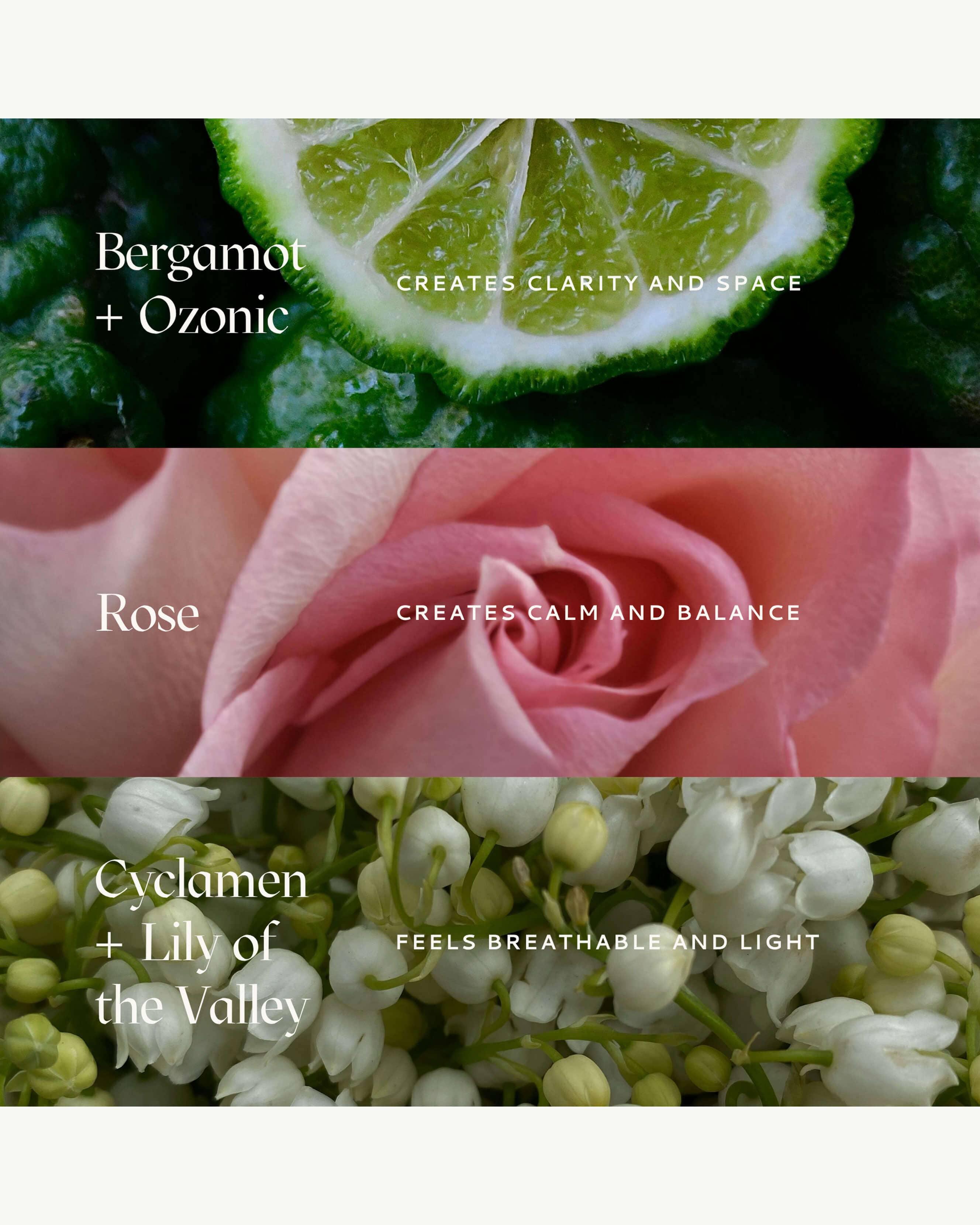Dolce Far Niente Rollerball