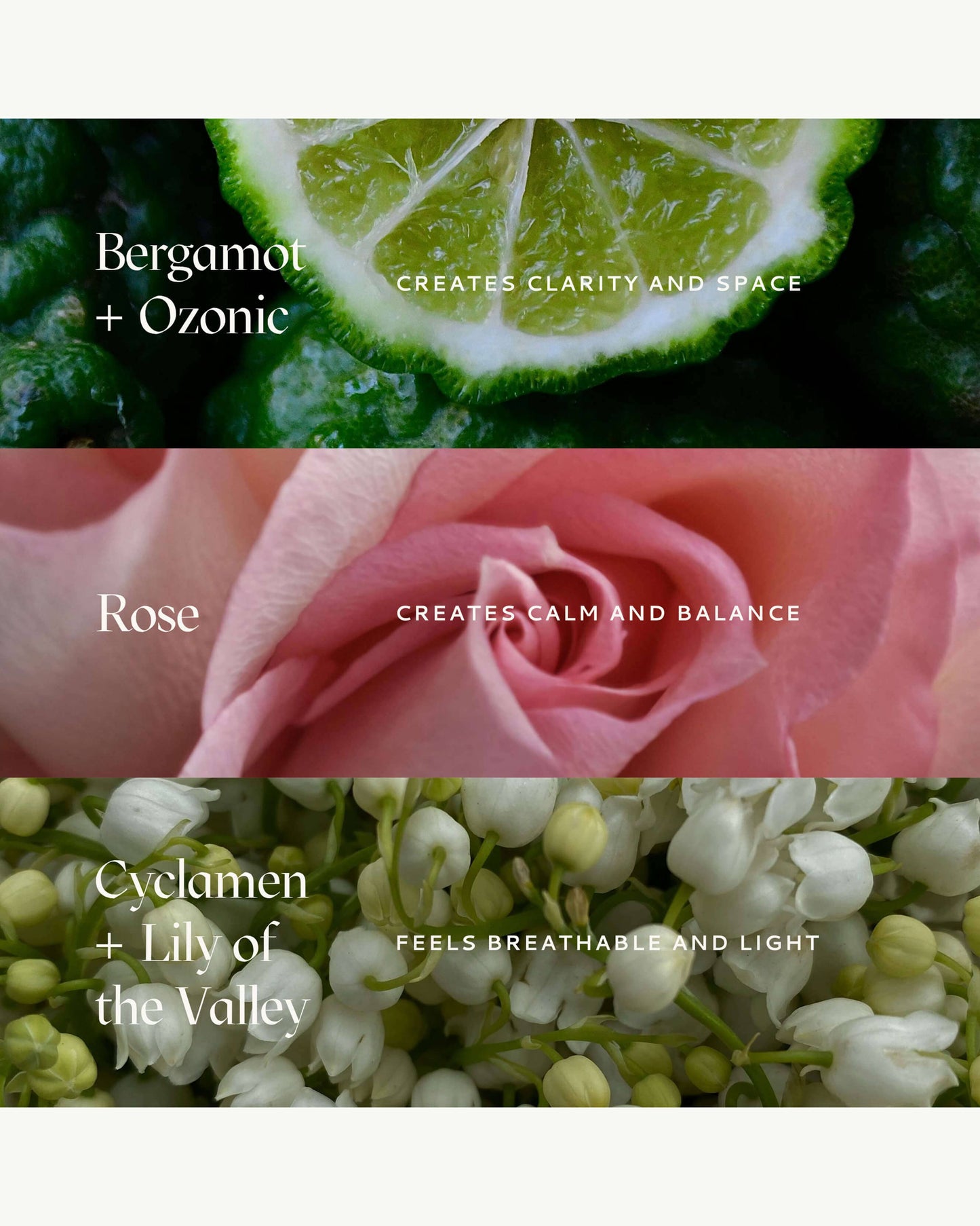 Dolce Far Niente Rollerball