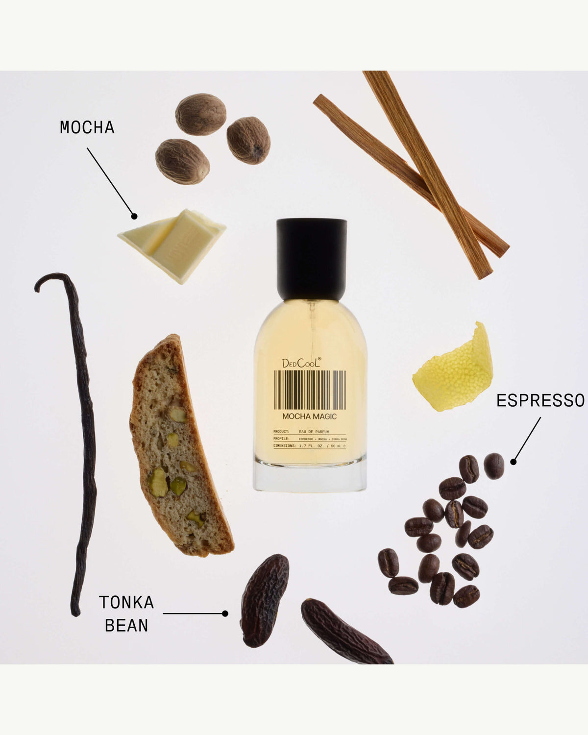 Mocha Magic