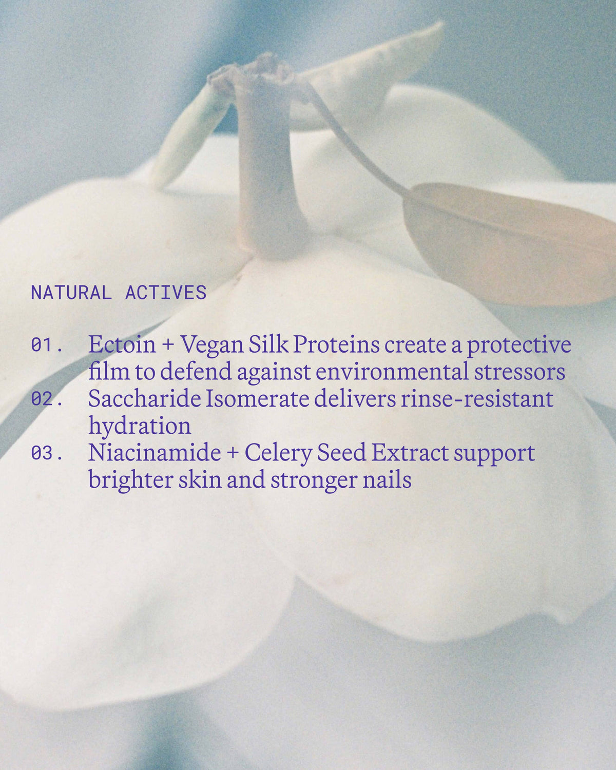 Capsule Hand & Nail Crème