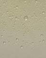 Supernatural Face Oil