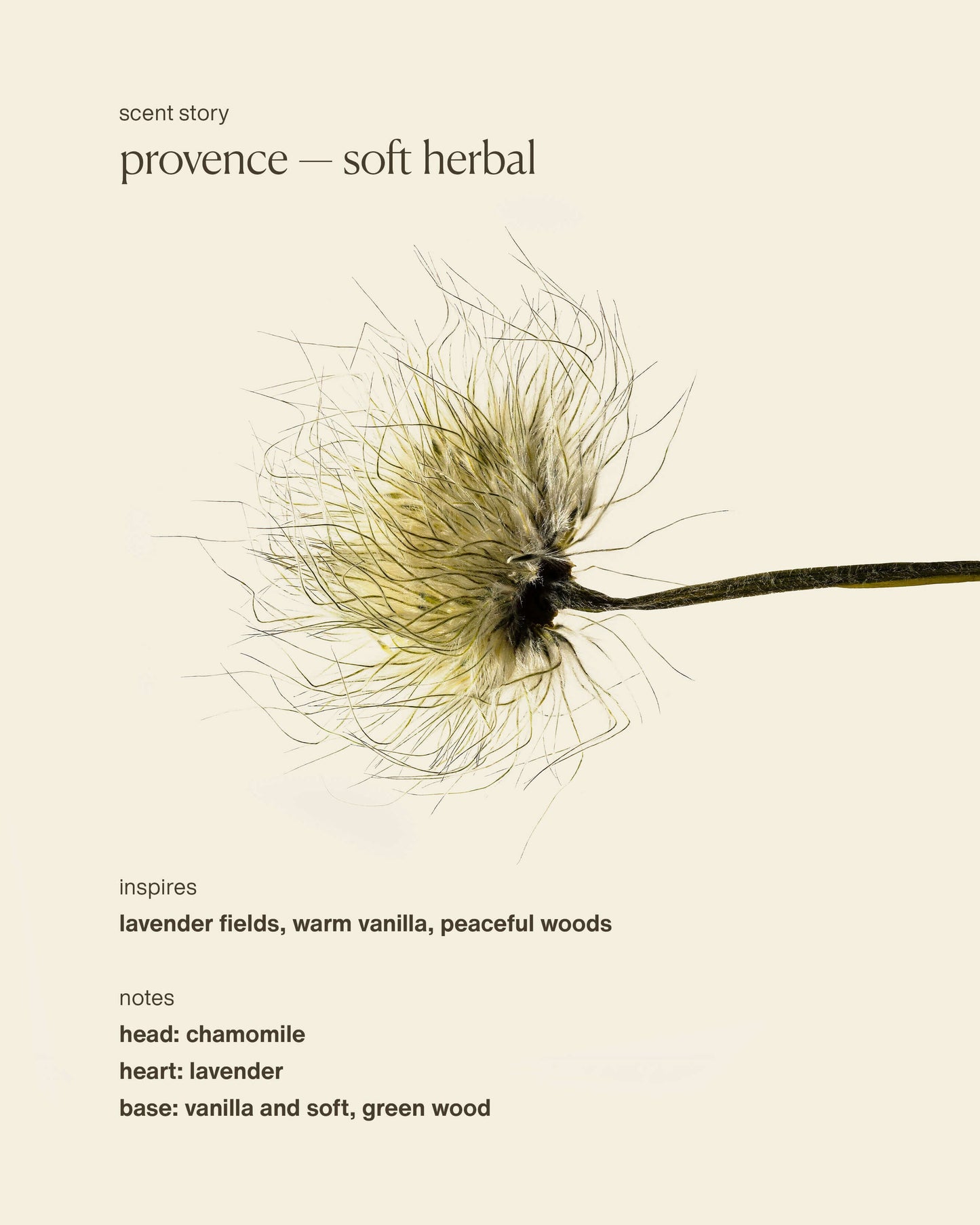 provence - hydrating hand cream