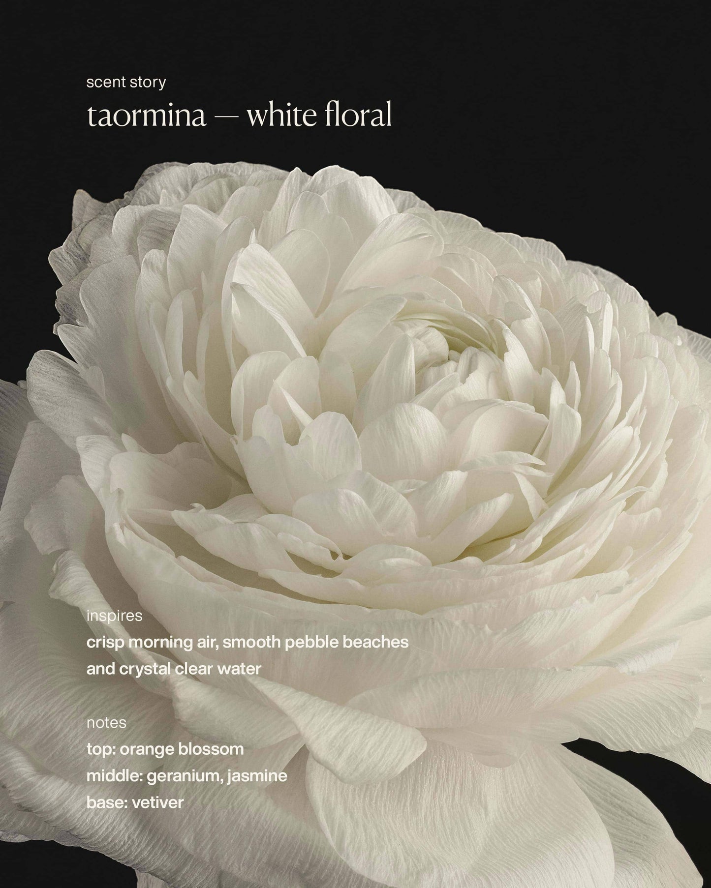 taormina - hydrating hand cream