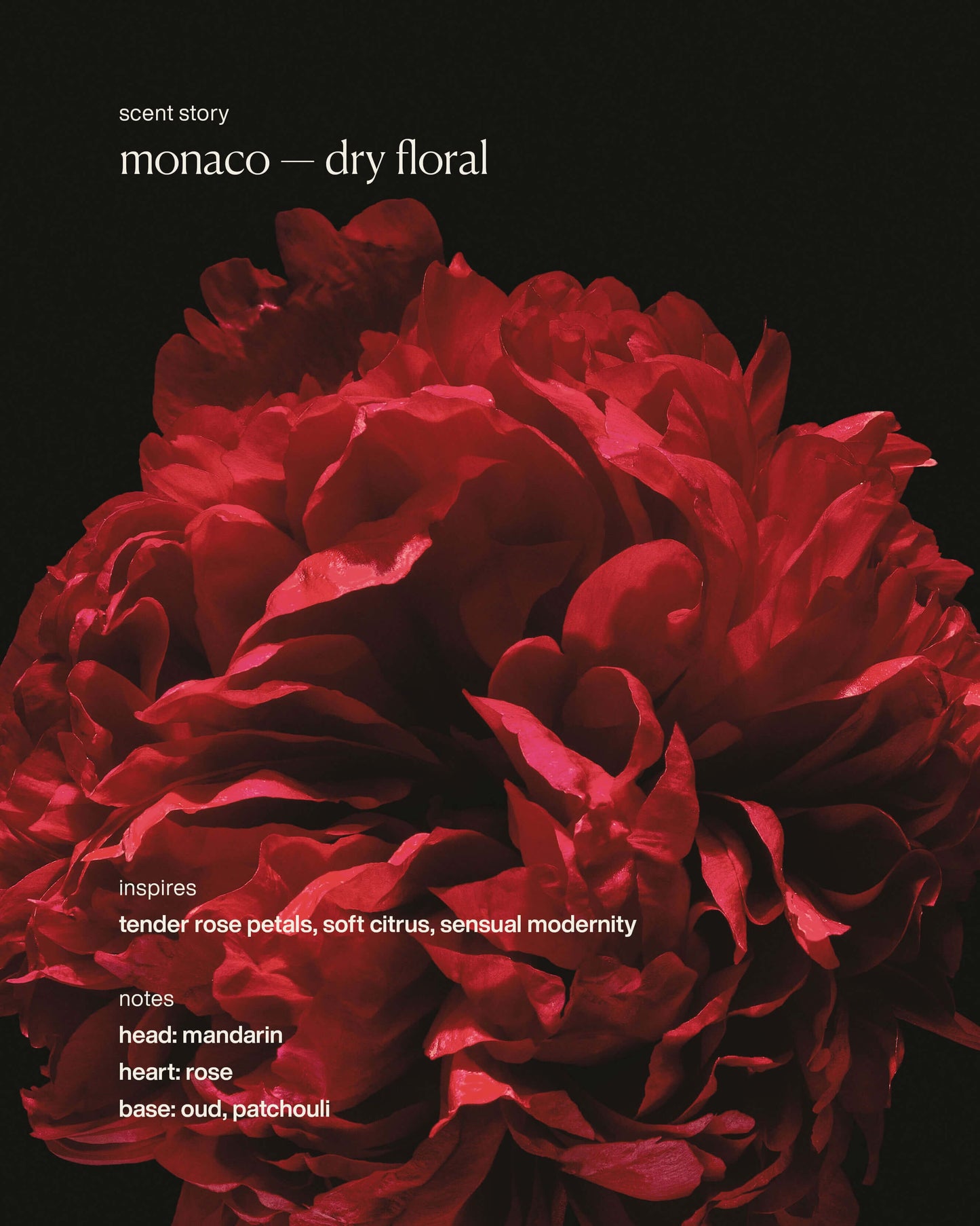 monaco - restorative hand wash refill