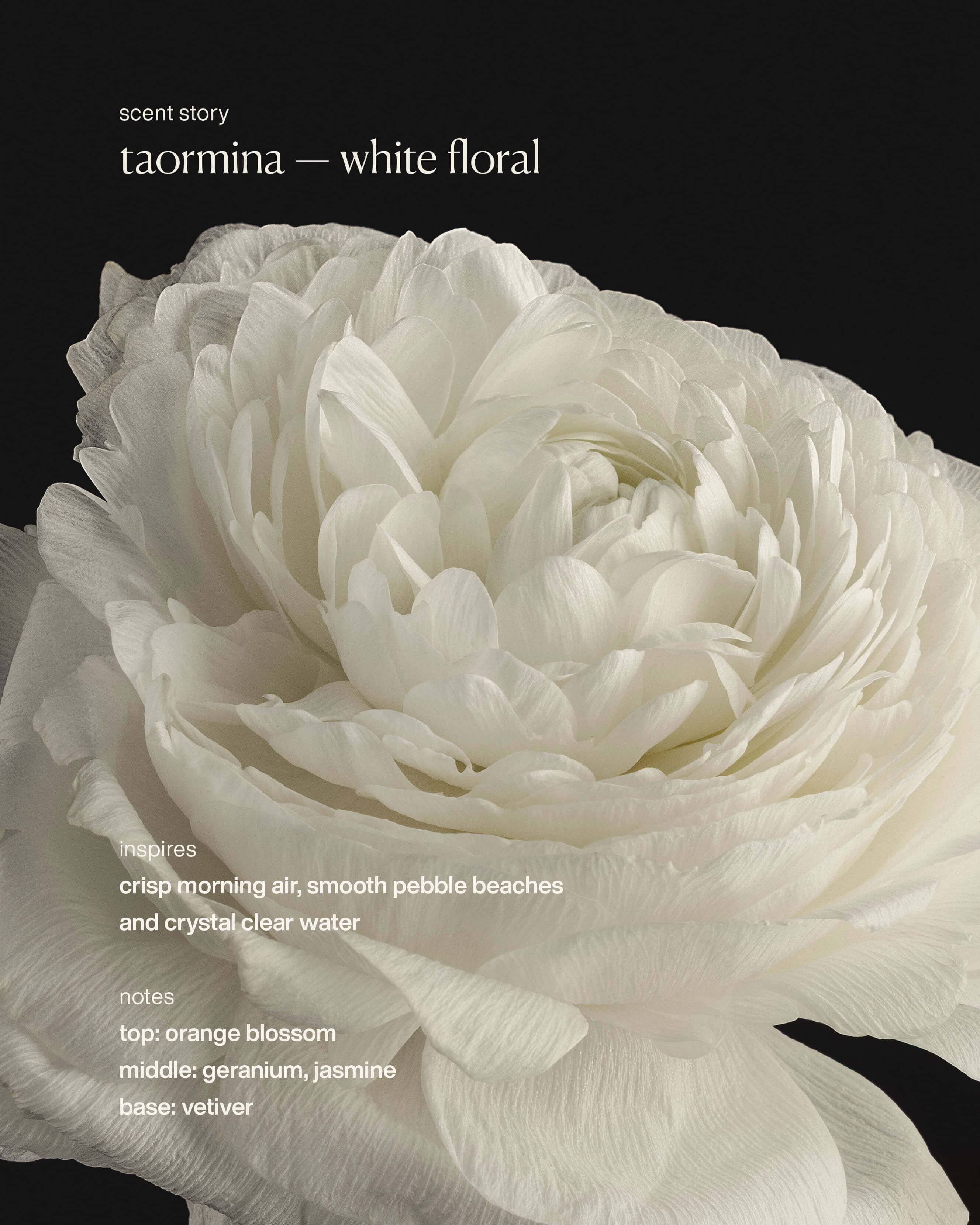 Restorative Body Lotion - taromina