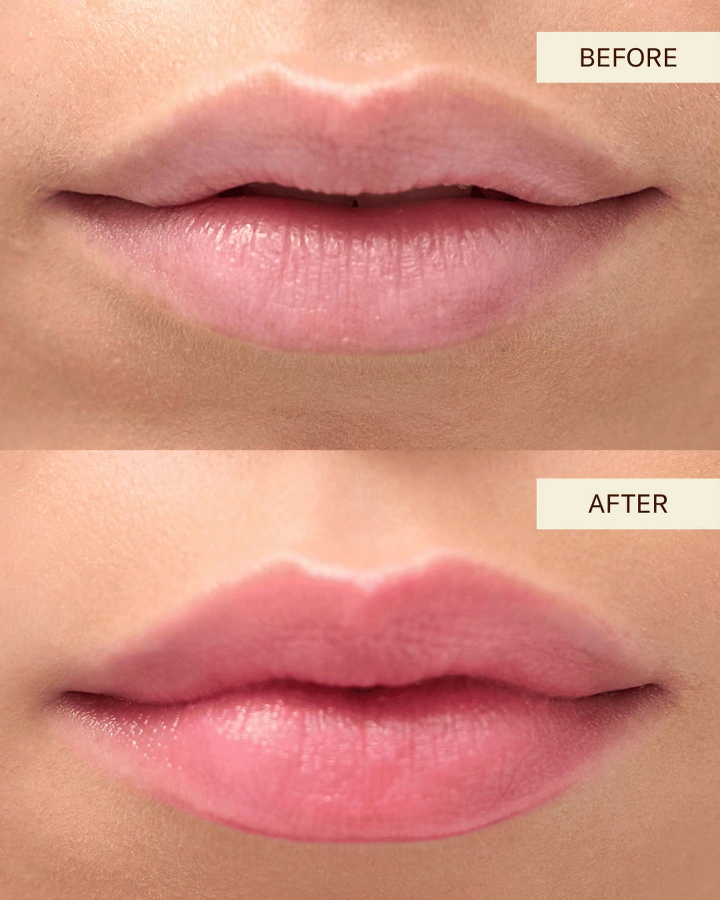 Coraline (Nude pink with warm peach undertones)