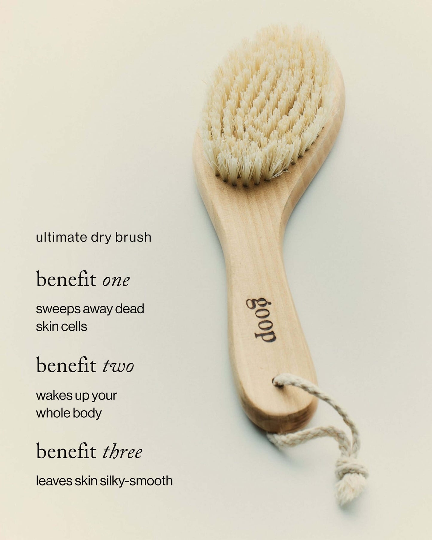 G.Tox Ultimate Dry Brush