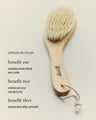 G.Tox Ultimate Dry Brush
