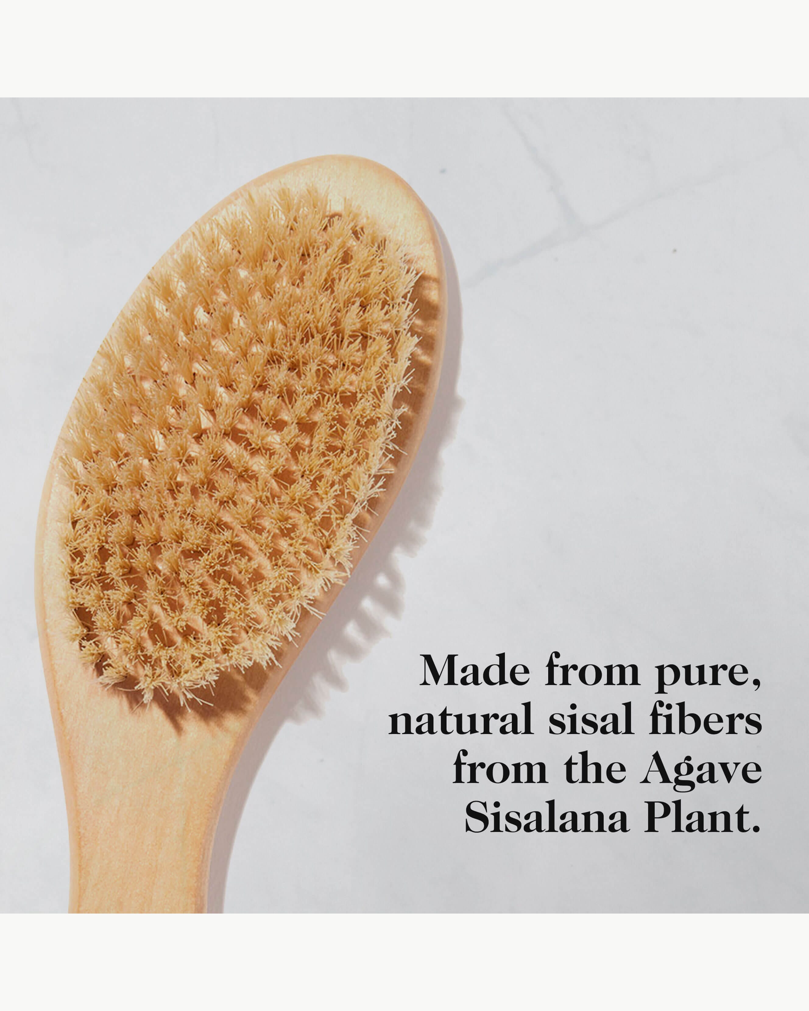 G.Tox Ultimate Dry Brush