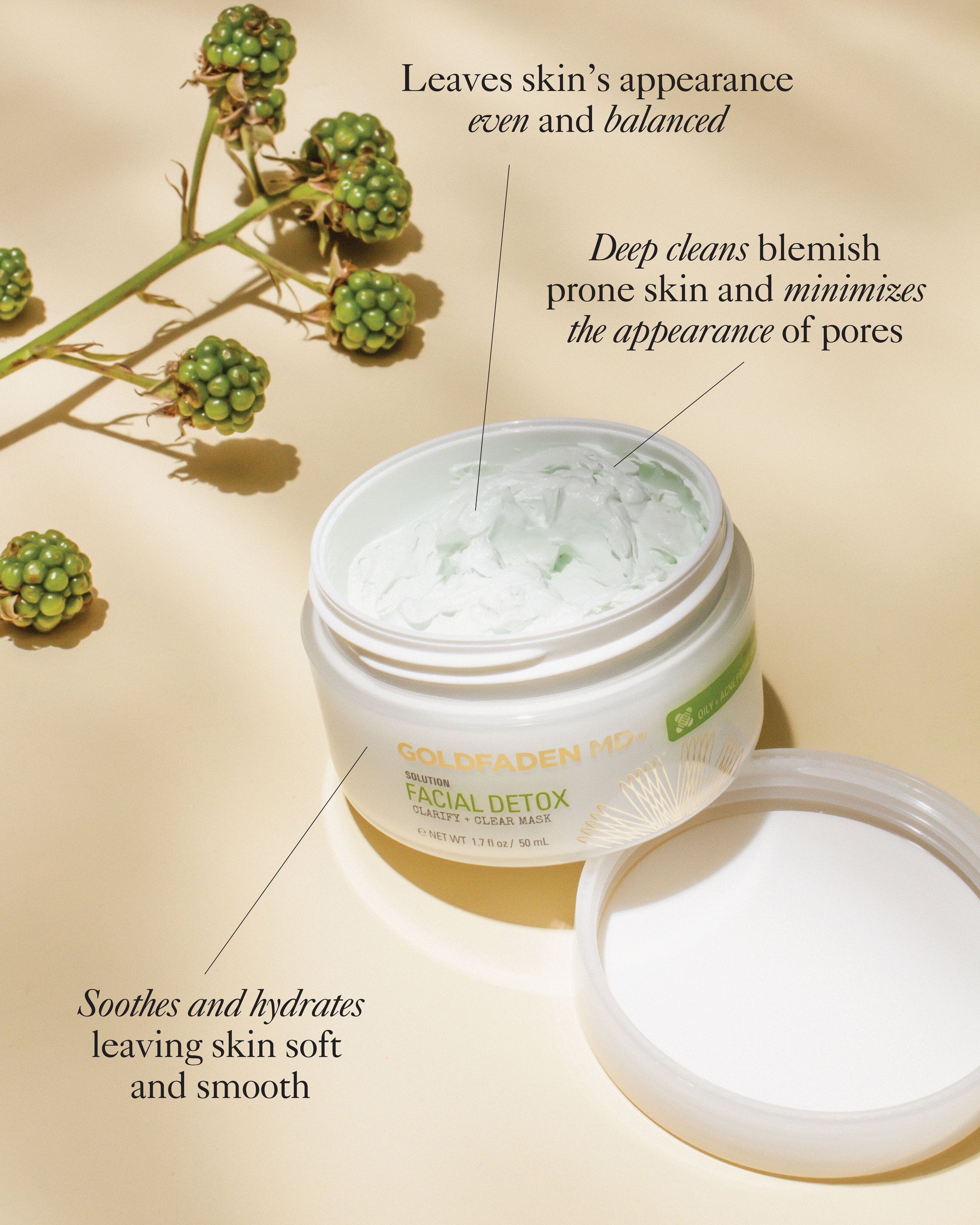 Facial Detox Pore Clarifying Mask