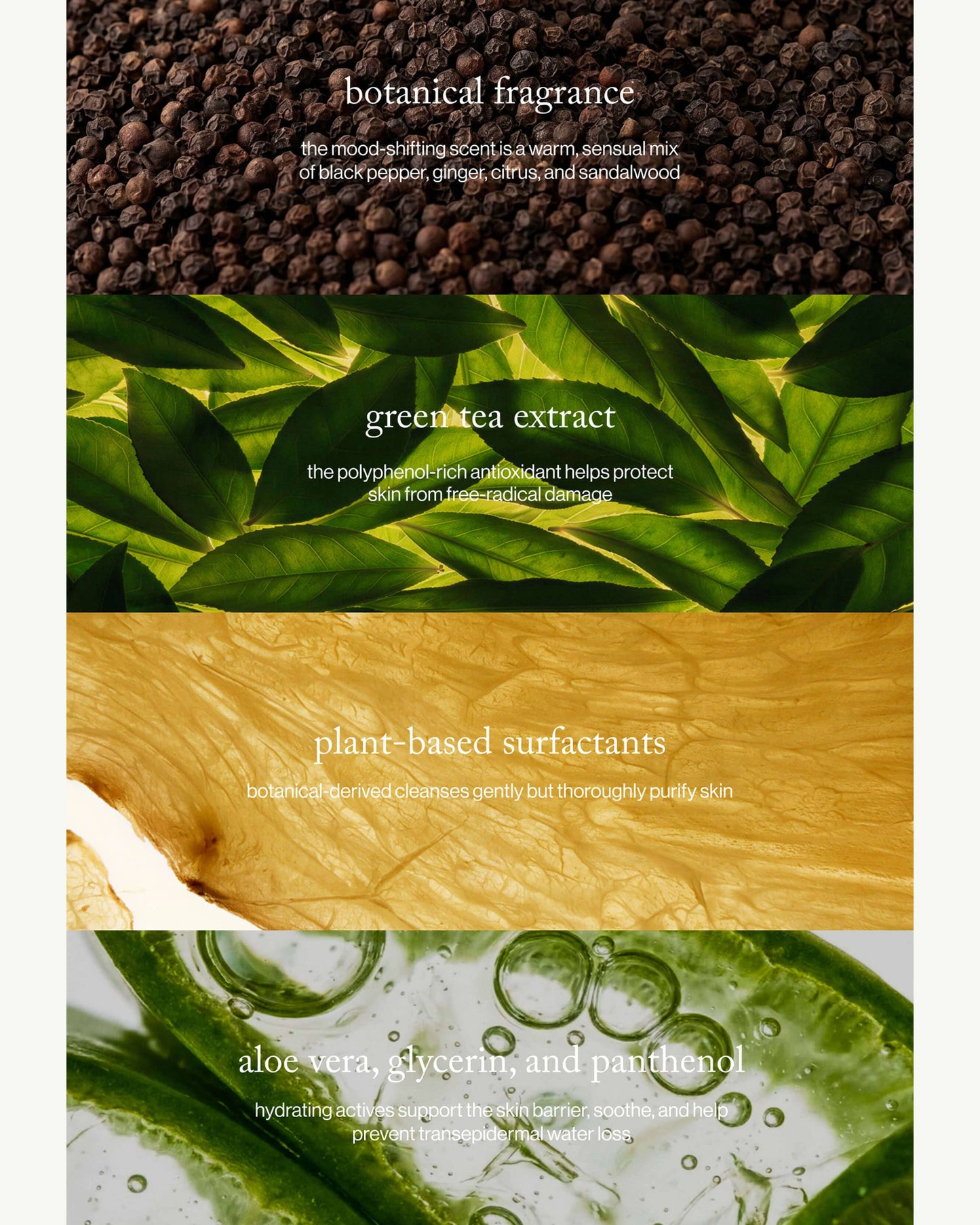 Black Pepper + Ginger Grounding Body Wash